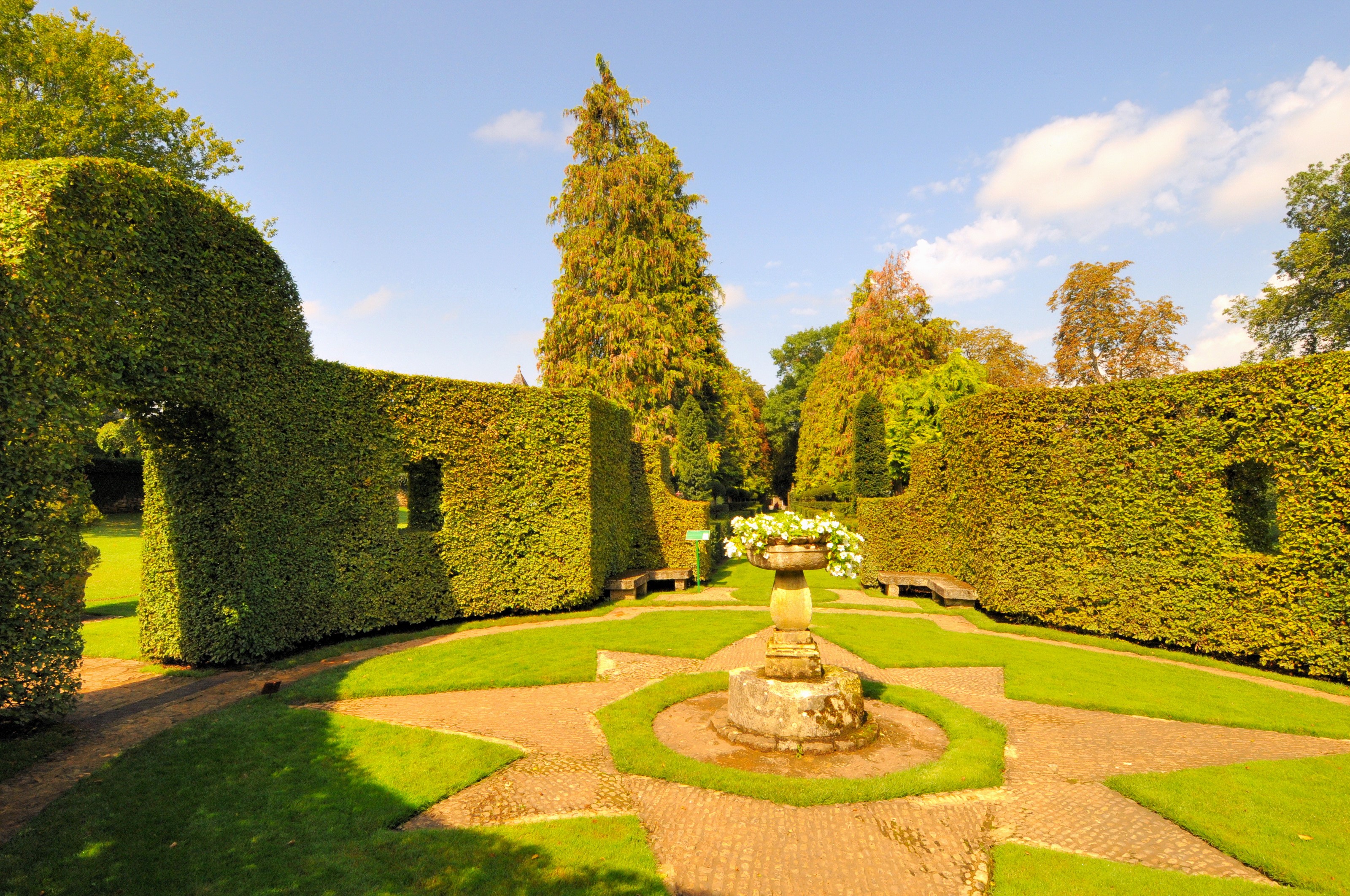 Formal garden with sculpted hedges and a sundial HD Wallpaper