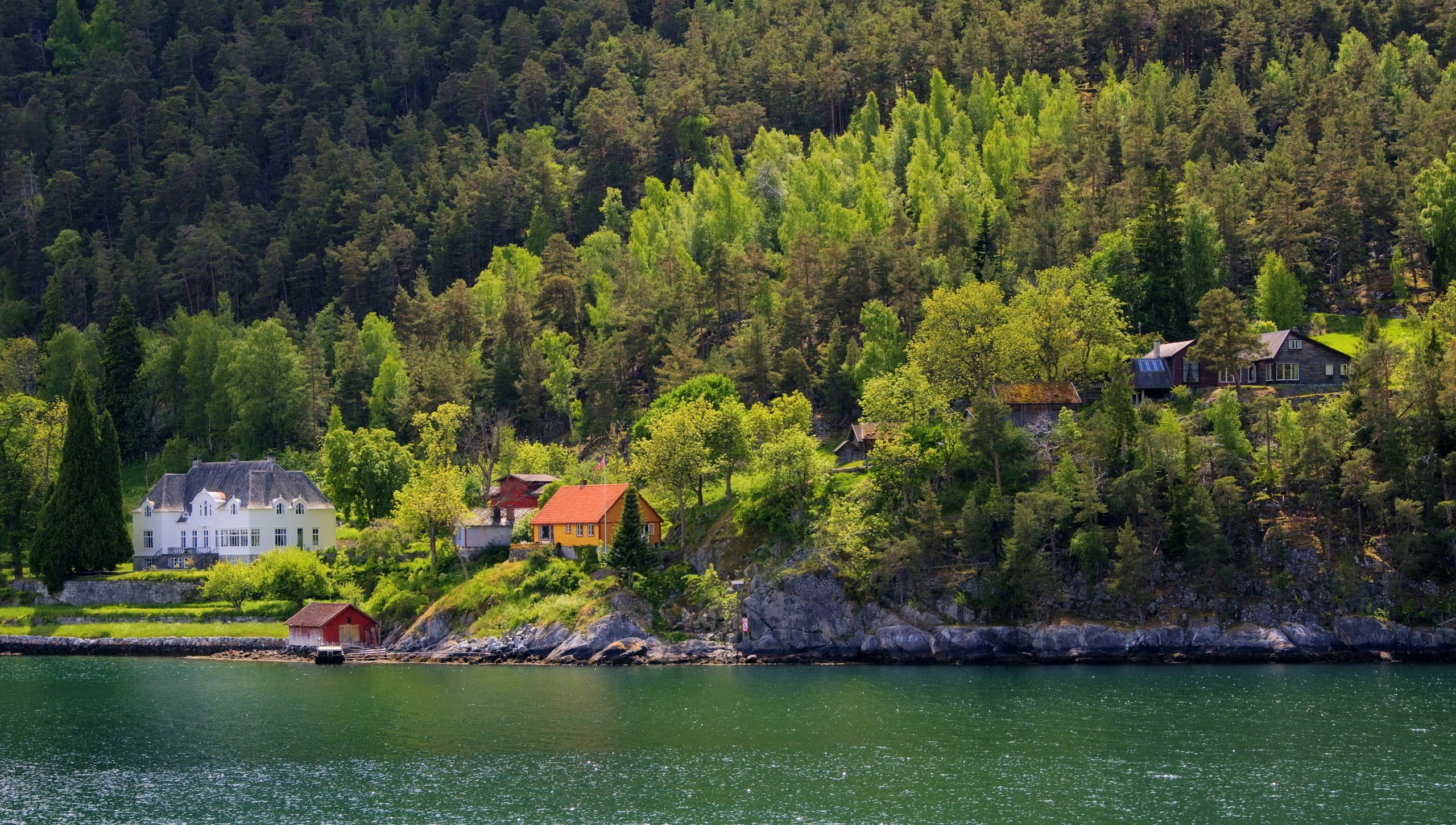Houses on a forested hillside overlooking a body of water in Norway HD Wallpaper