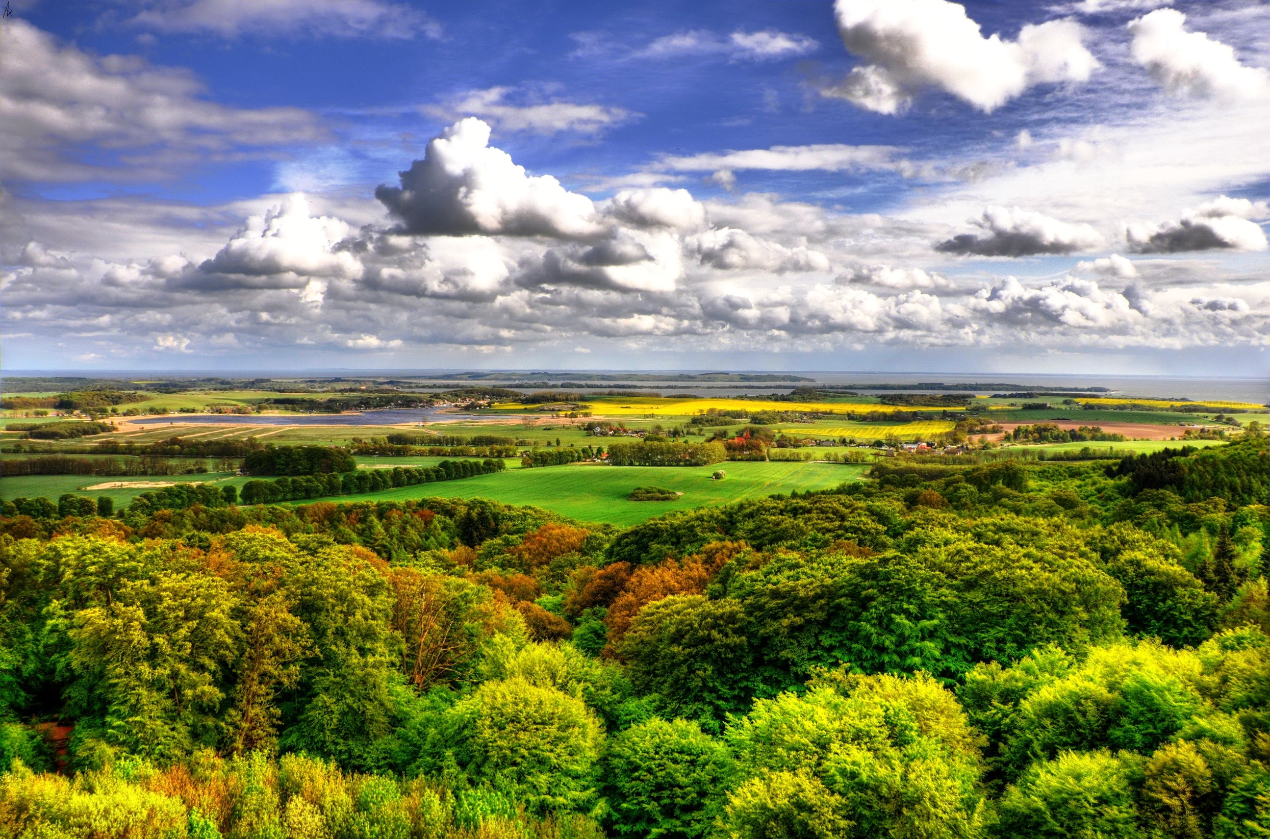 Fields HD Wallpaper