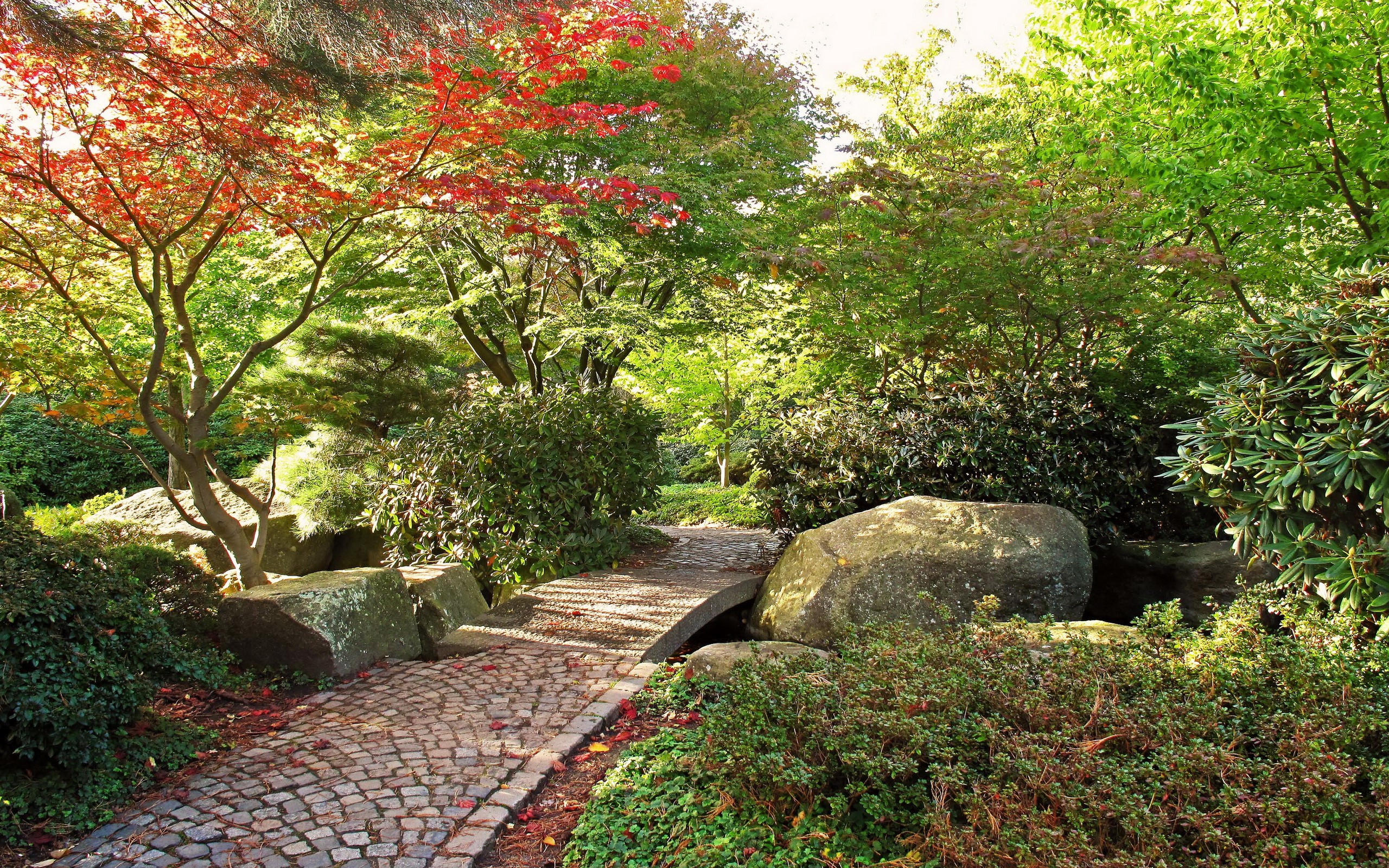 Japanese garden with stone path and autumn trees HD Wallpaper