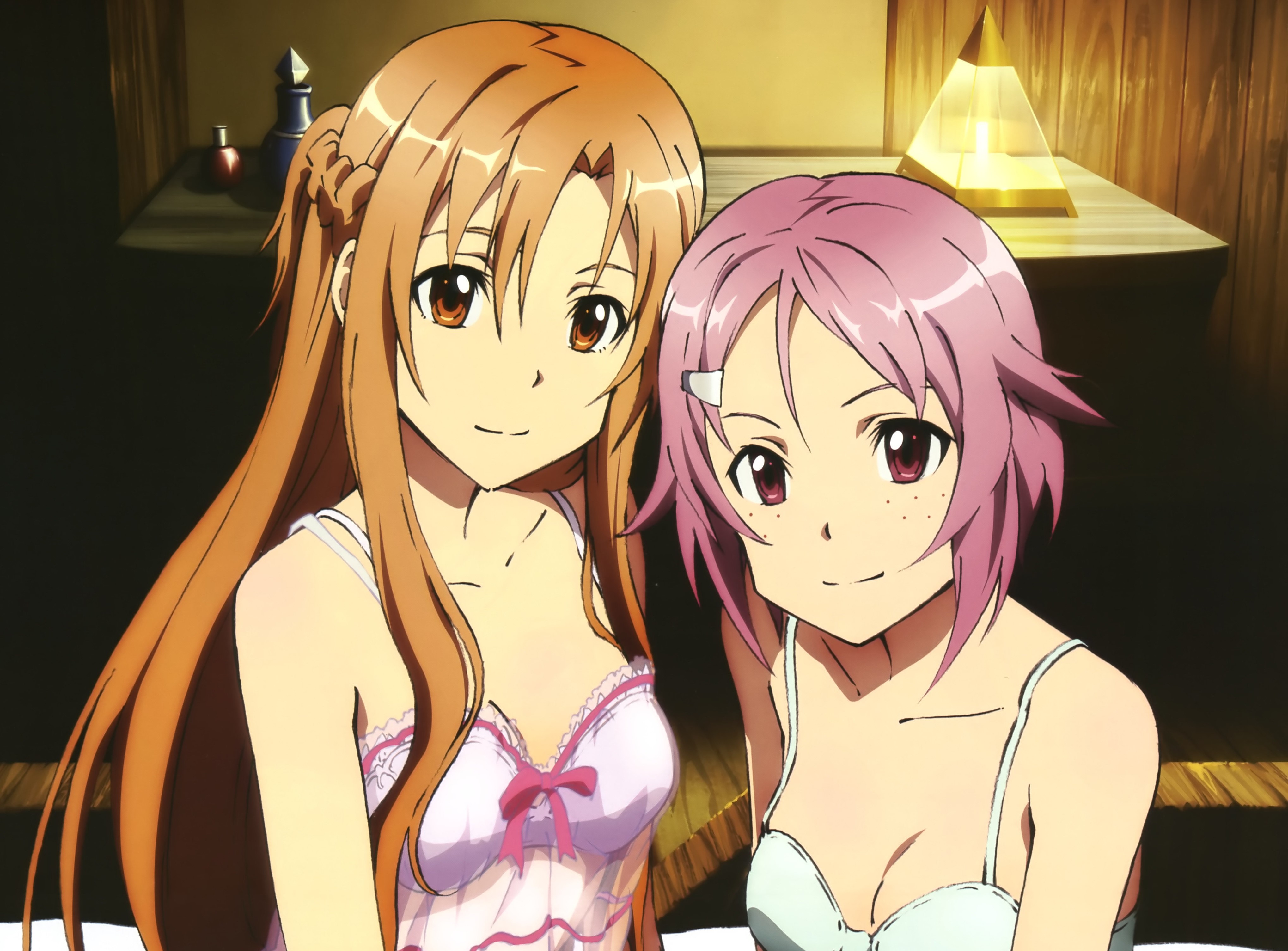 Asuna and Sinon from Sword Art Online HD Wallpaper