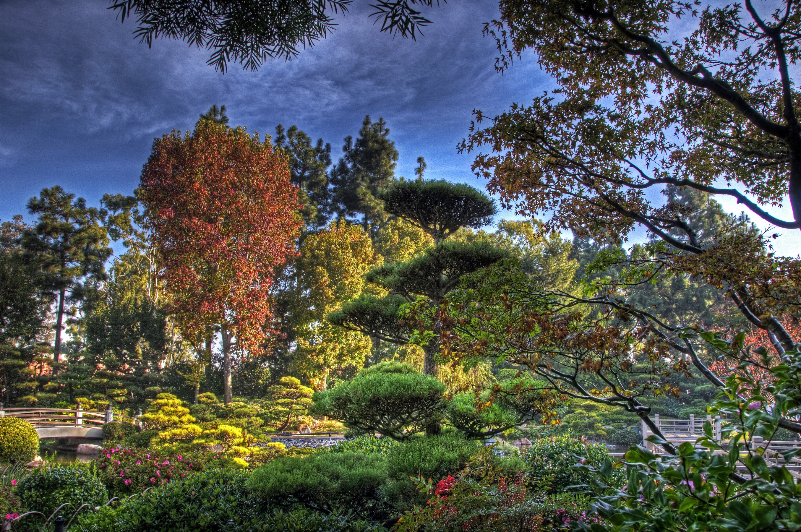 Earl Burns Miller Japanese Garden in California, USA HD Wallpaper