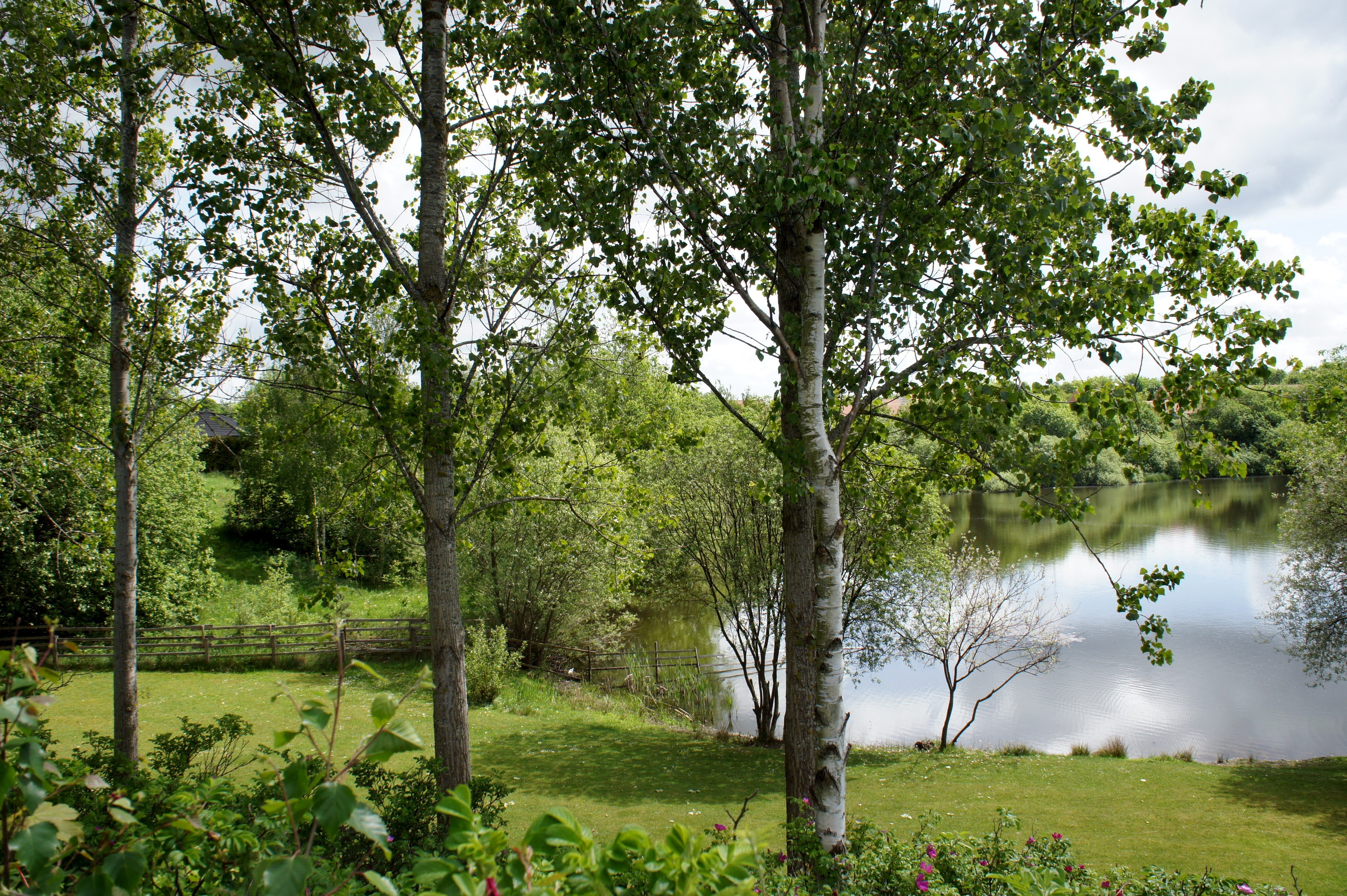Trees and lake with a small building in the background HD Wallpaper