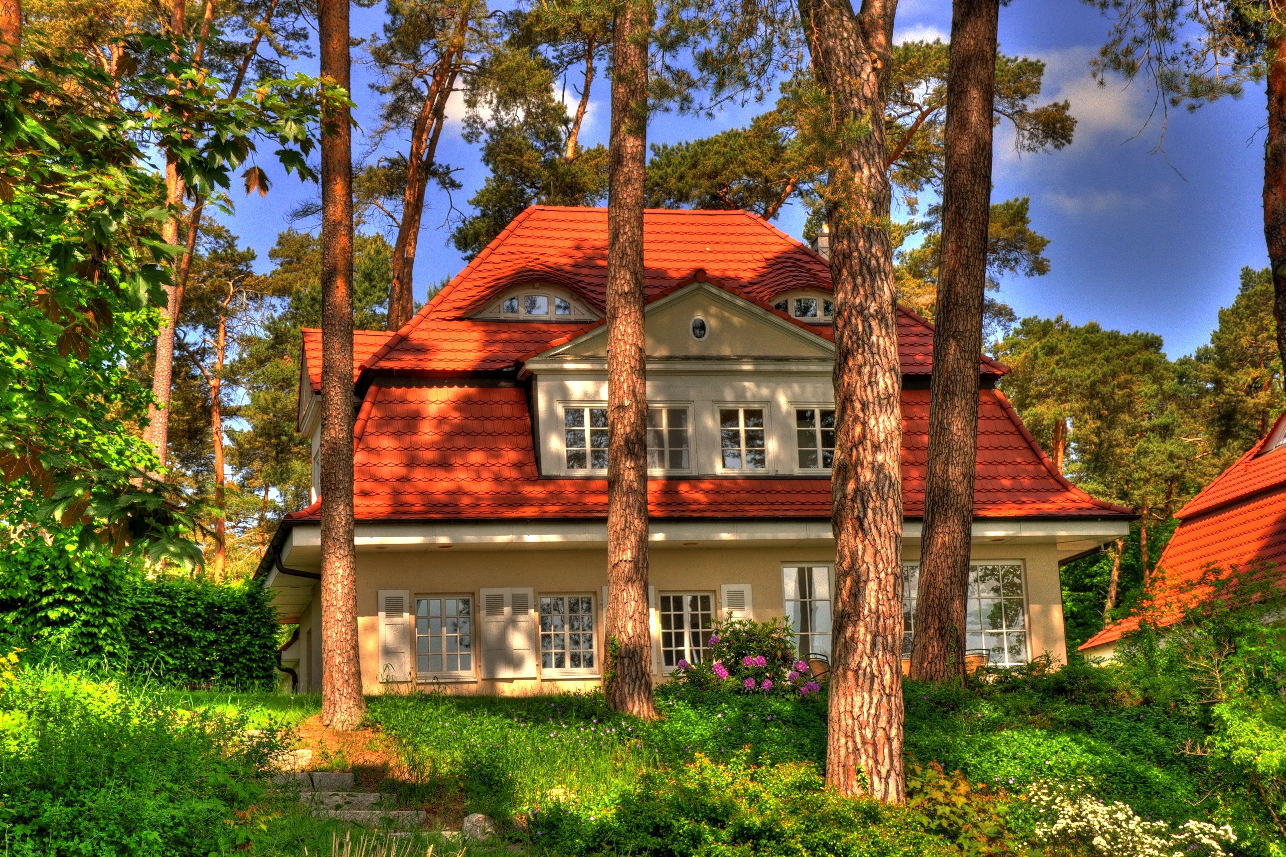House in a forest in Germany HD Wallpaper