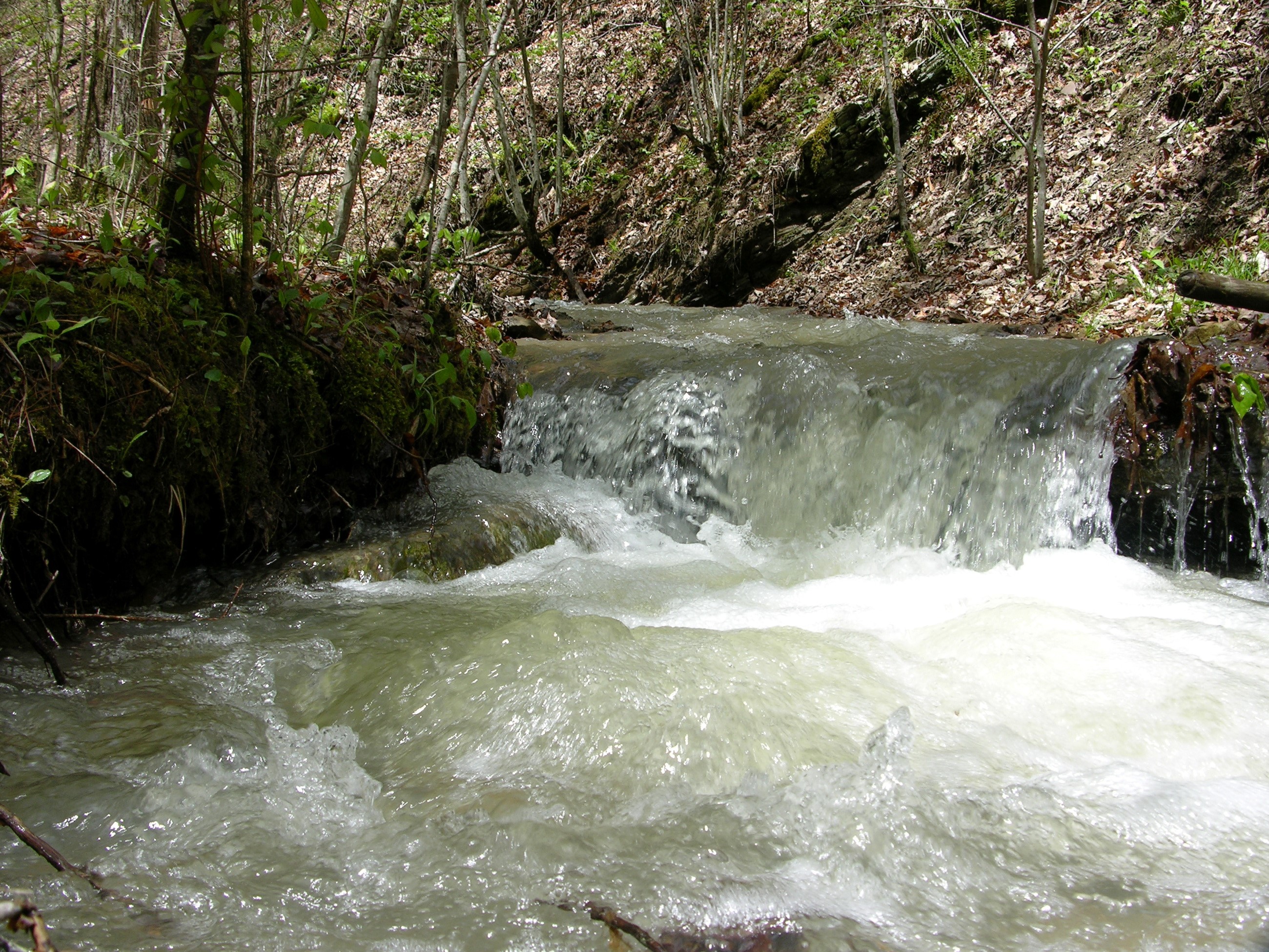 A small waterfall in a forest stream HD Wallpaper