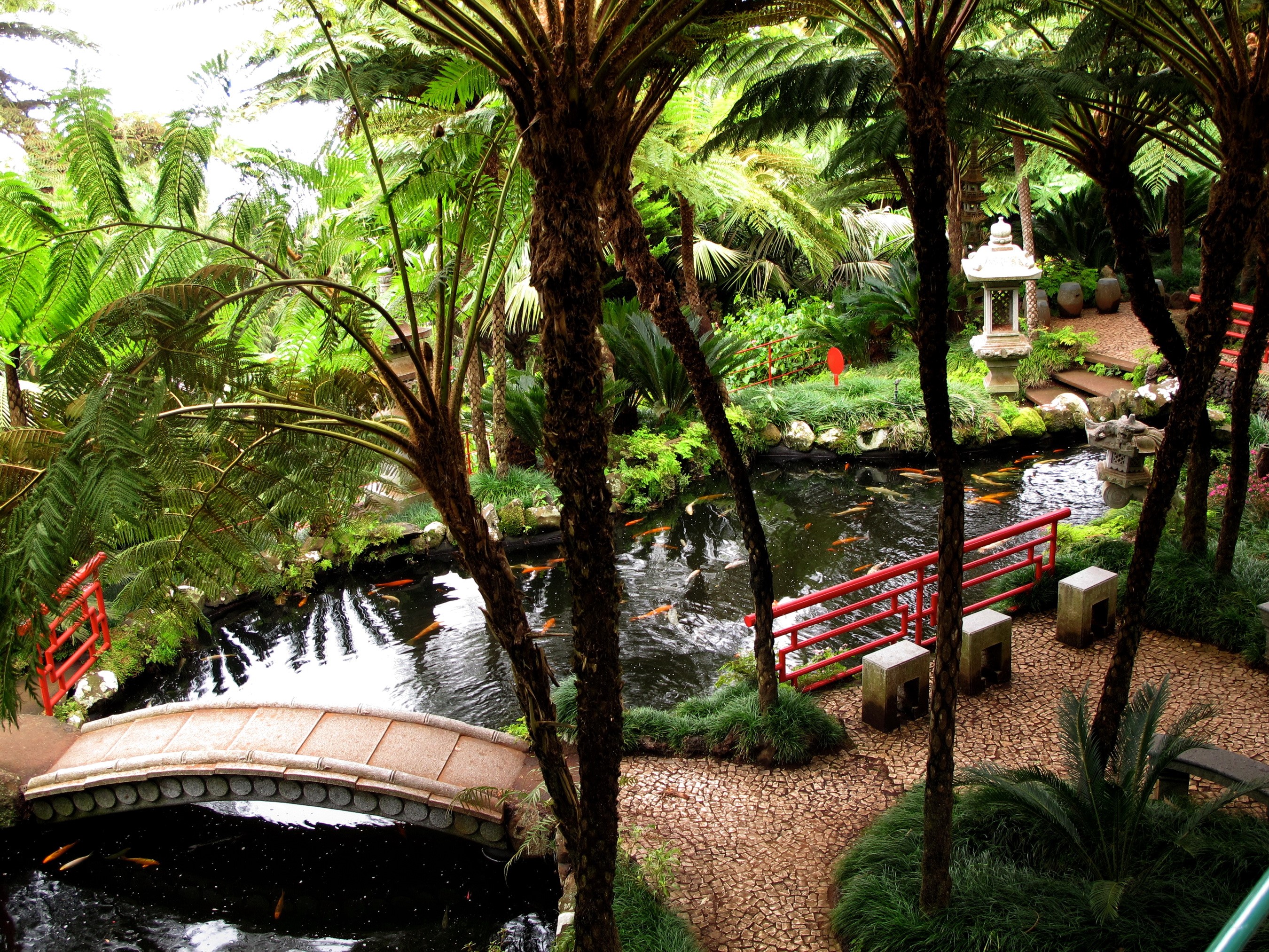 Japanese garden with koi pond and bridges HD Wallpaper