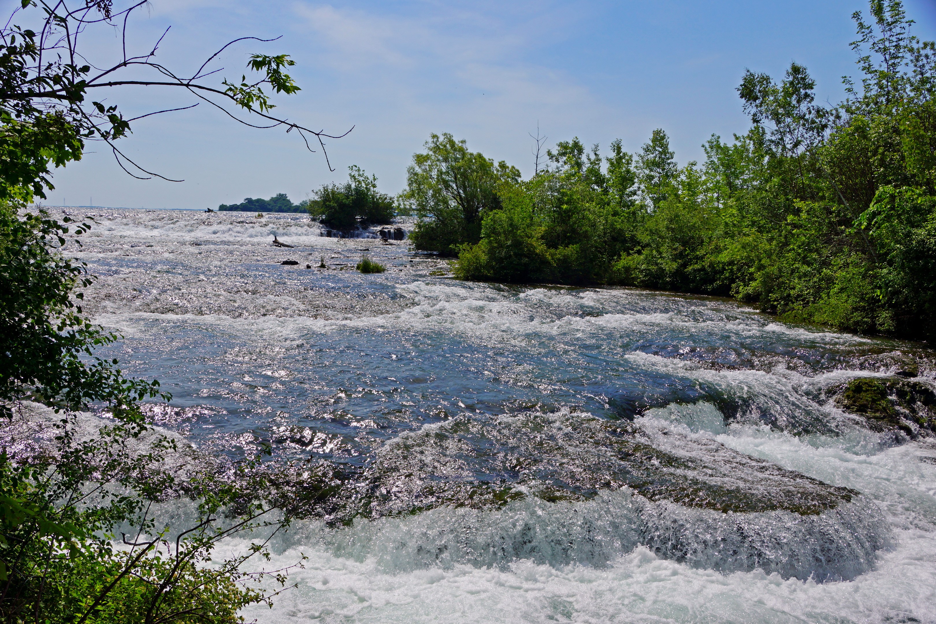 Fast-flowing river with trees and blue sky HD Wallpaper