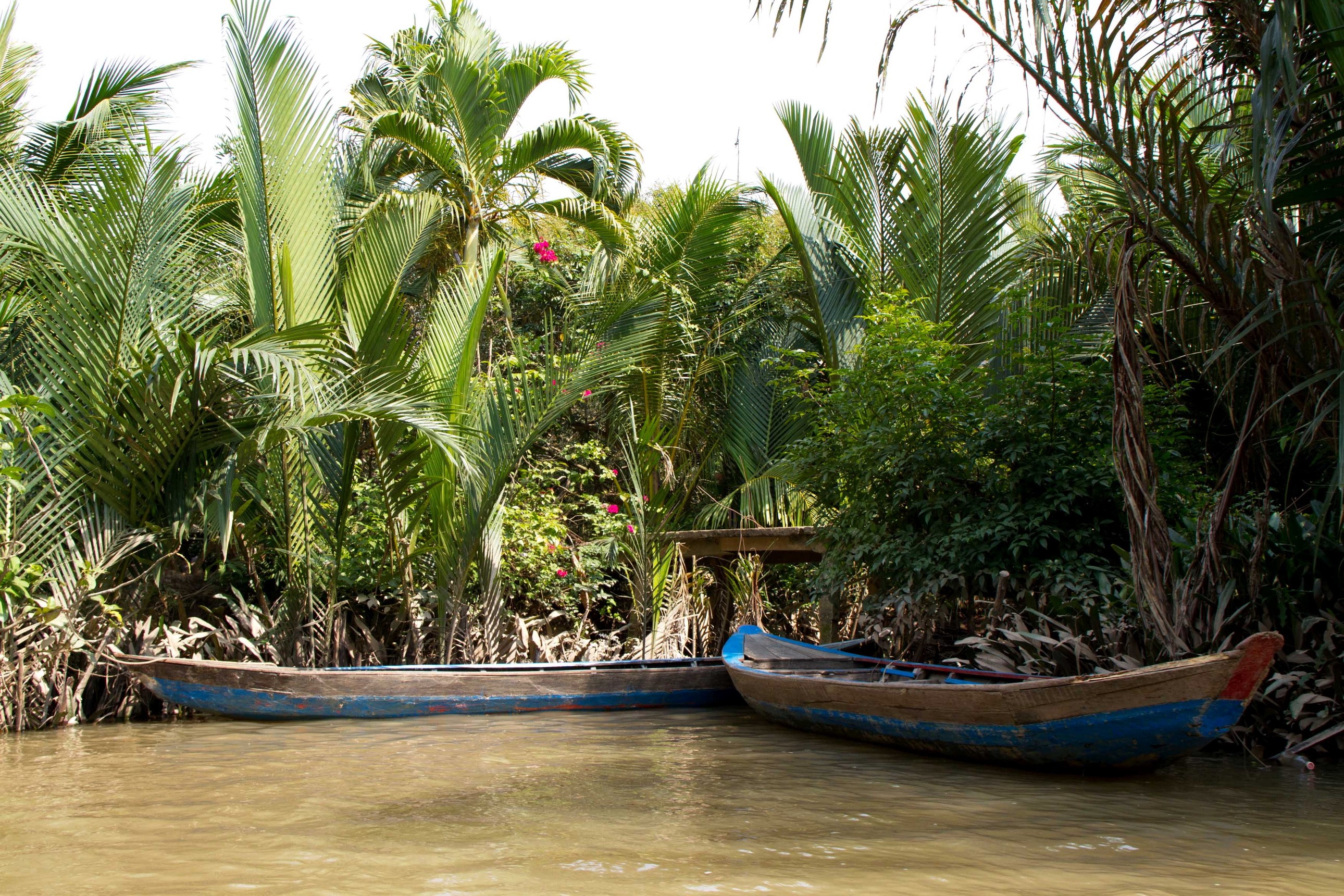 Two wooden boats on a river with tropical foliage HD Wallpaper