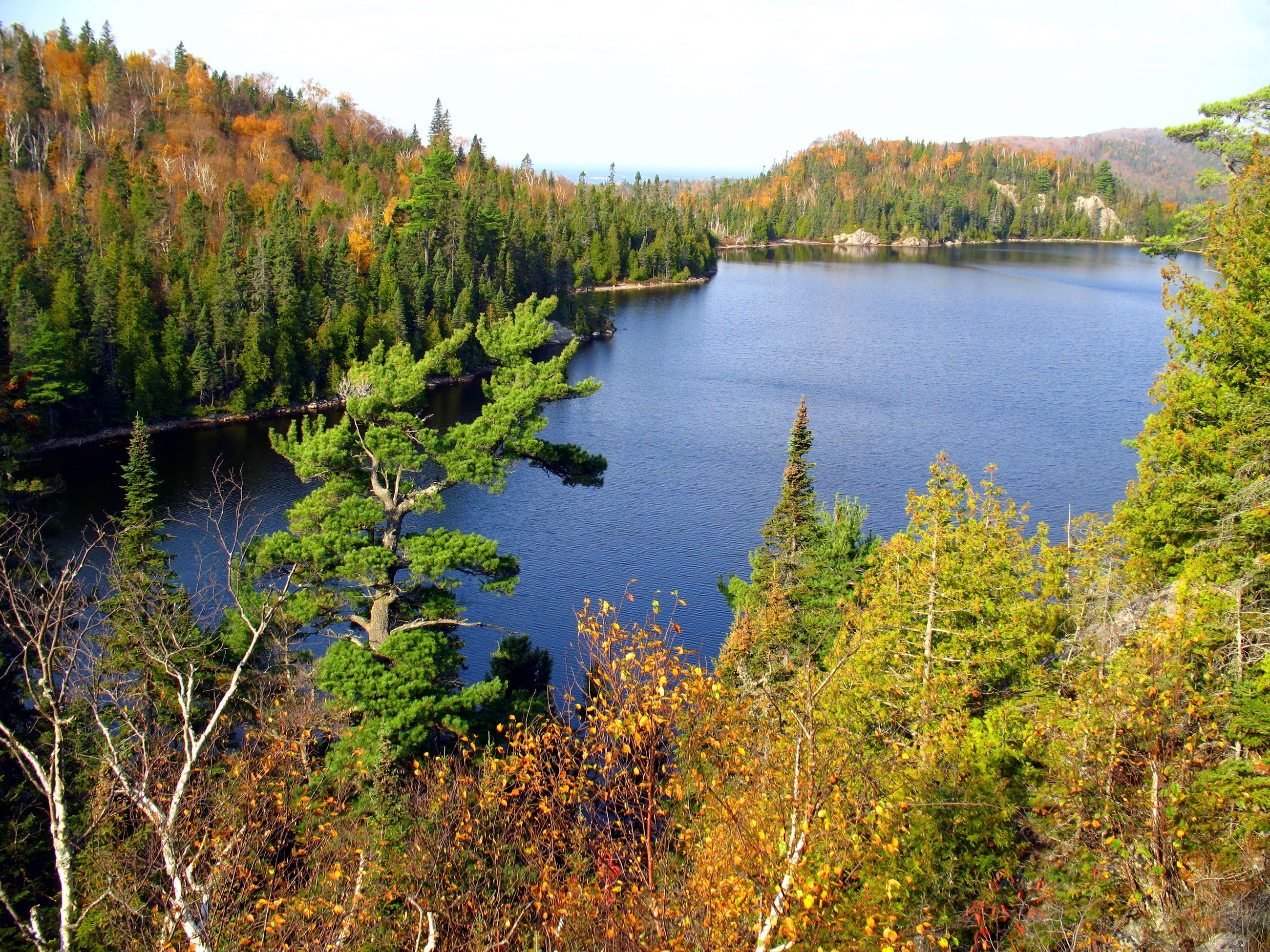 Orphan Lake in Wells Gray Provincial Park, Canada HD Wallpaper