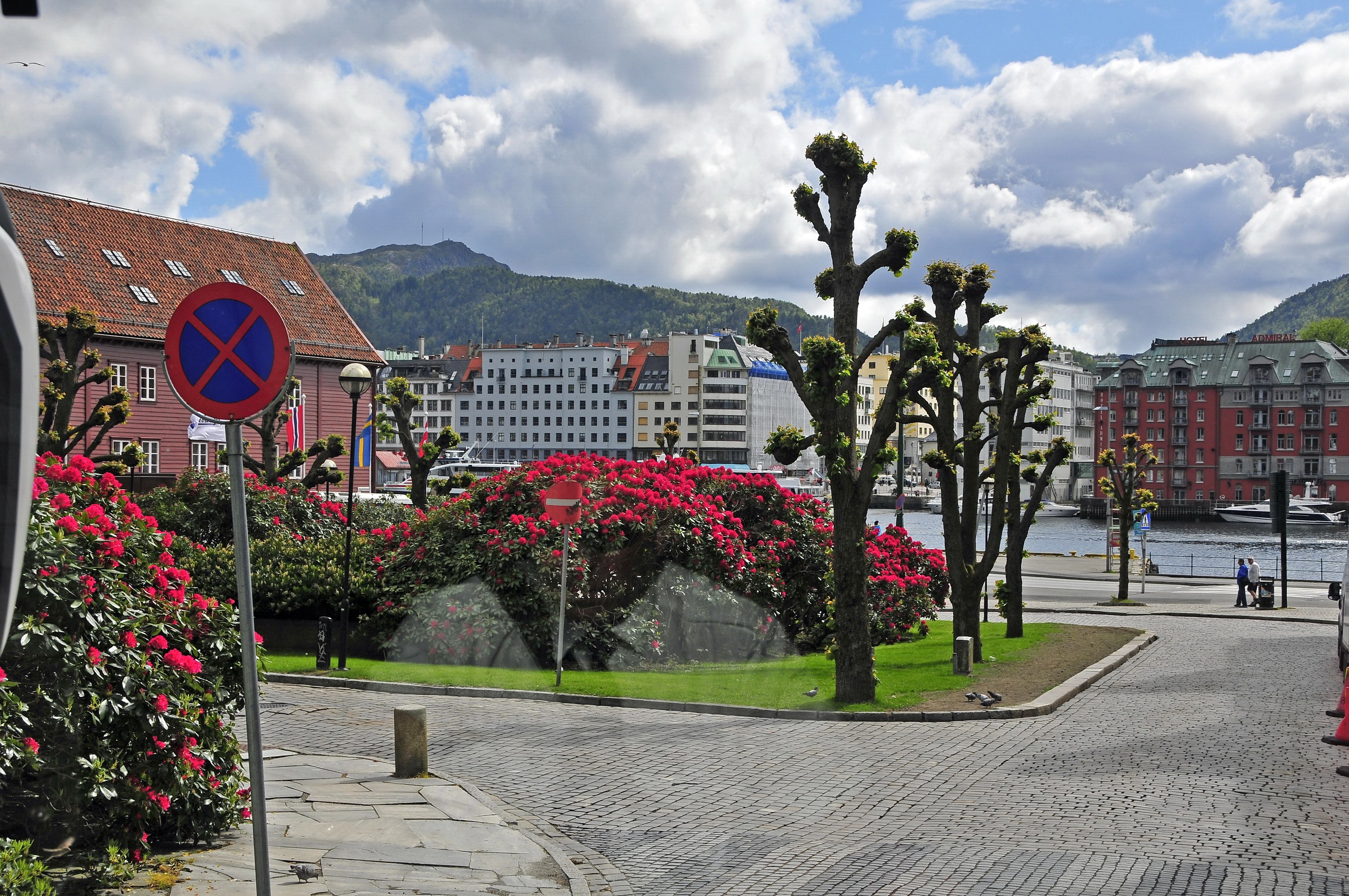 Bergen, Norway street with red flowers and buildings HD Wallpaper