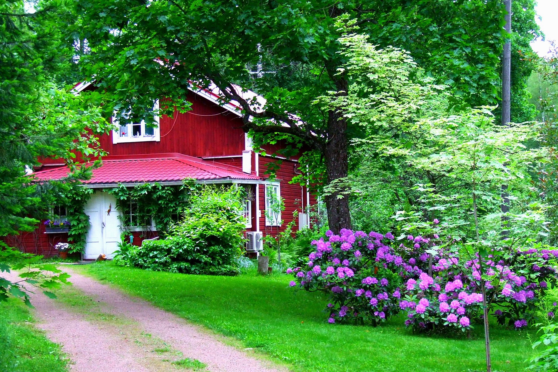 Red house with purple rhododendrons in Arboretum Mustila HD Wallpaper