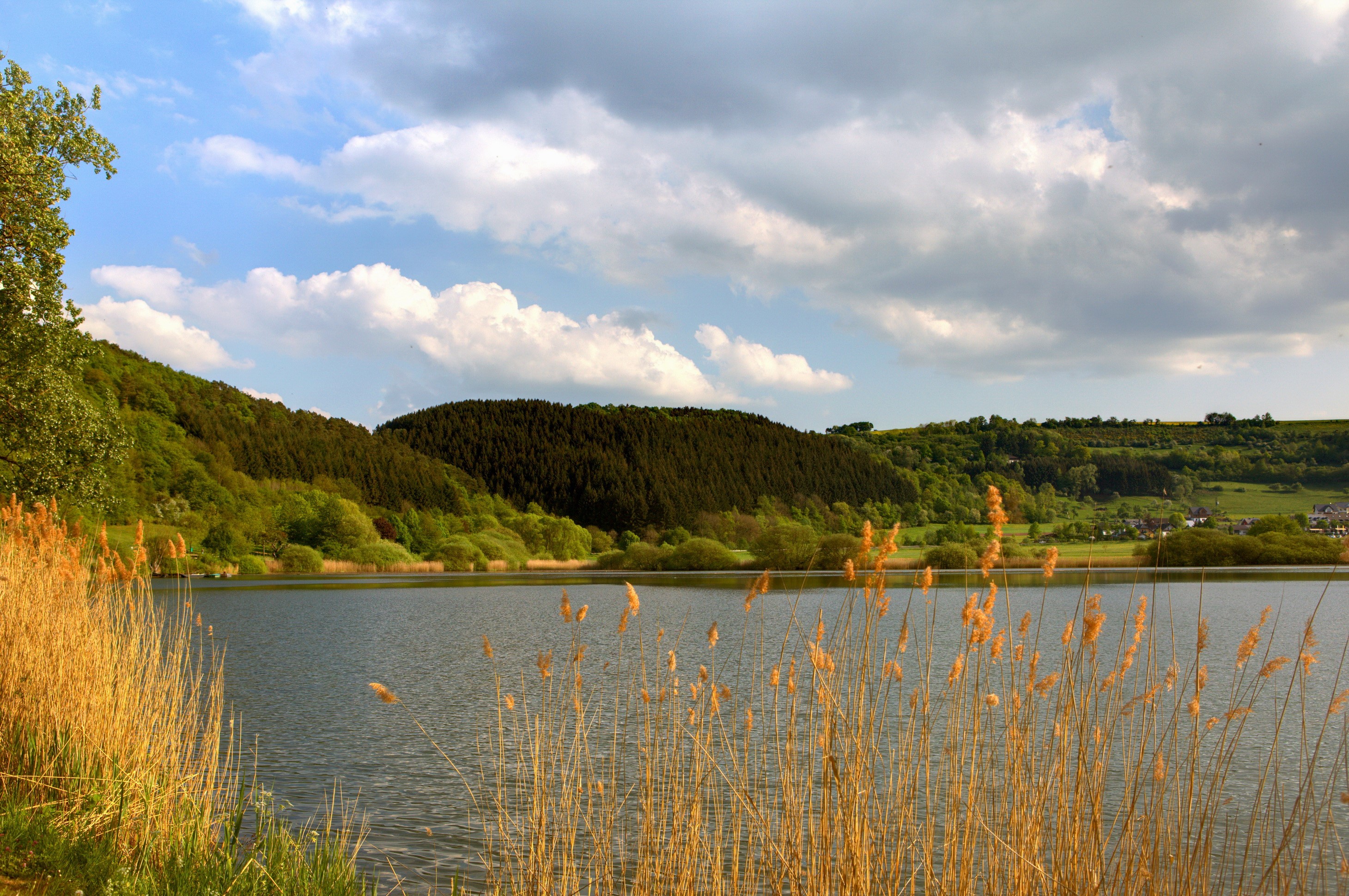 Lake with reeds and forested hills under cloudy sky HD Wallpaper