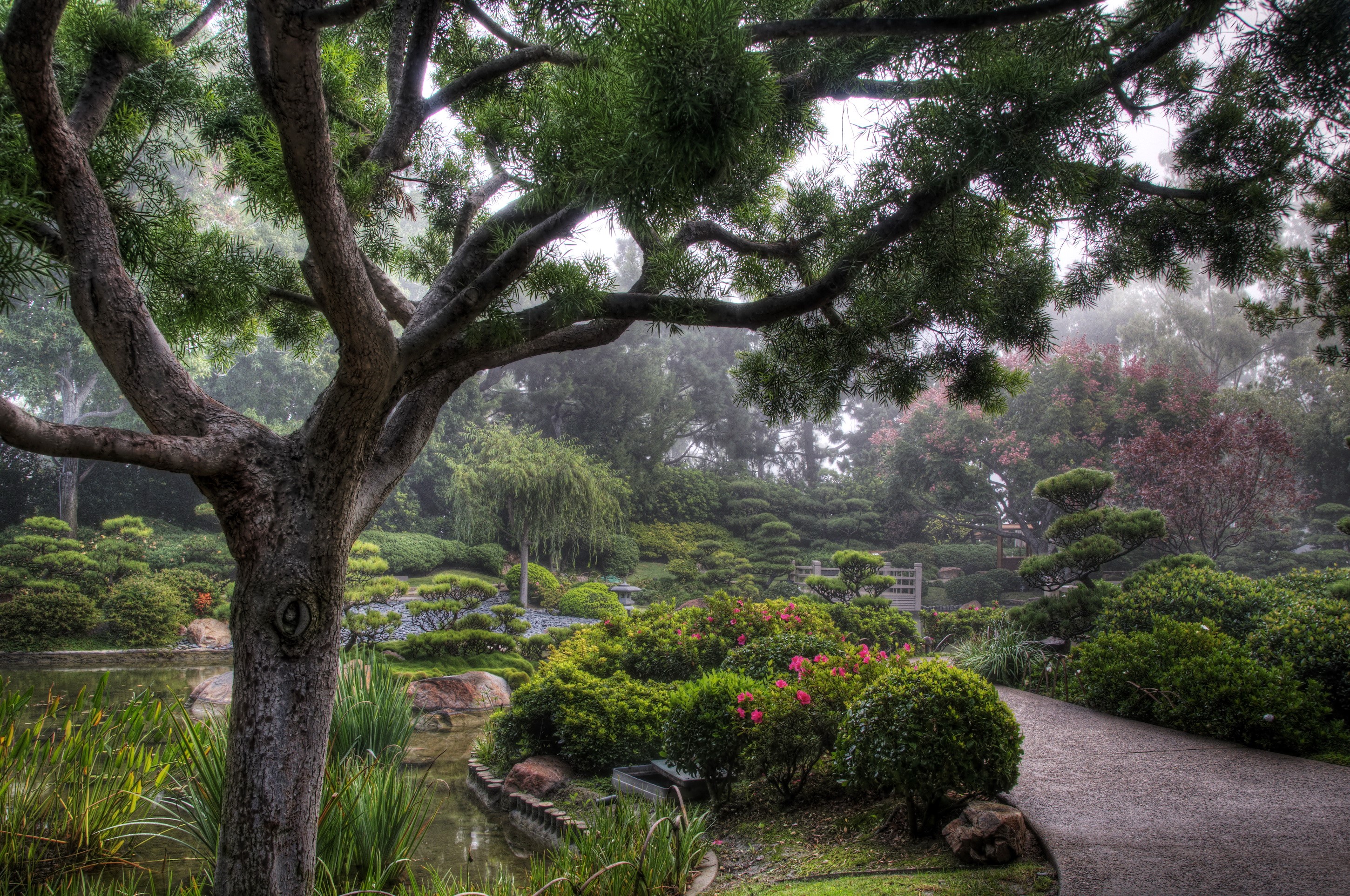 Earl Burns Miller Japanese Garden in California, USA HD Wallpaper