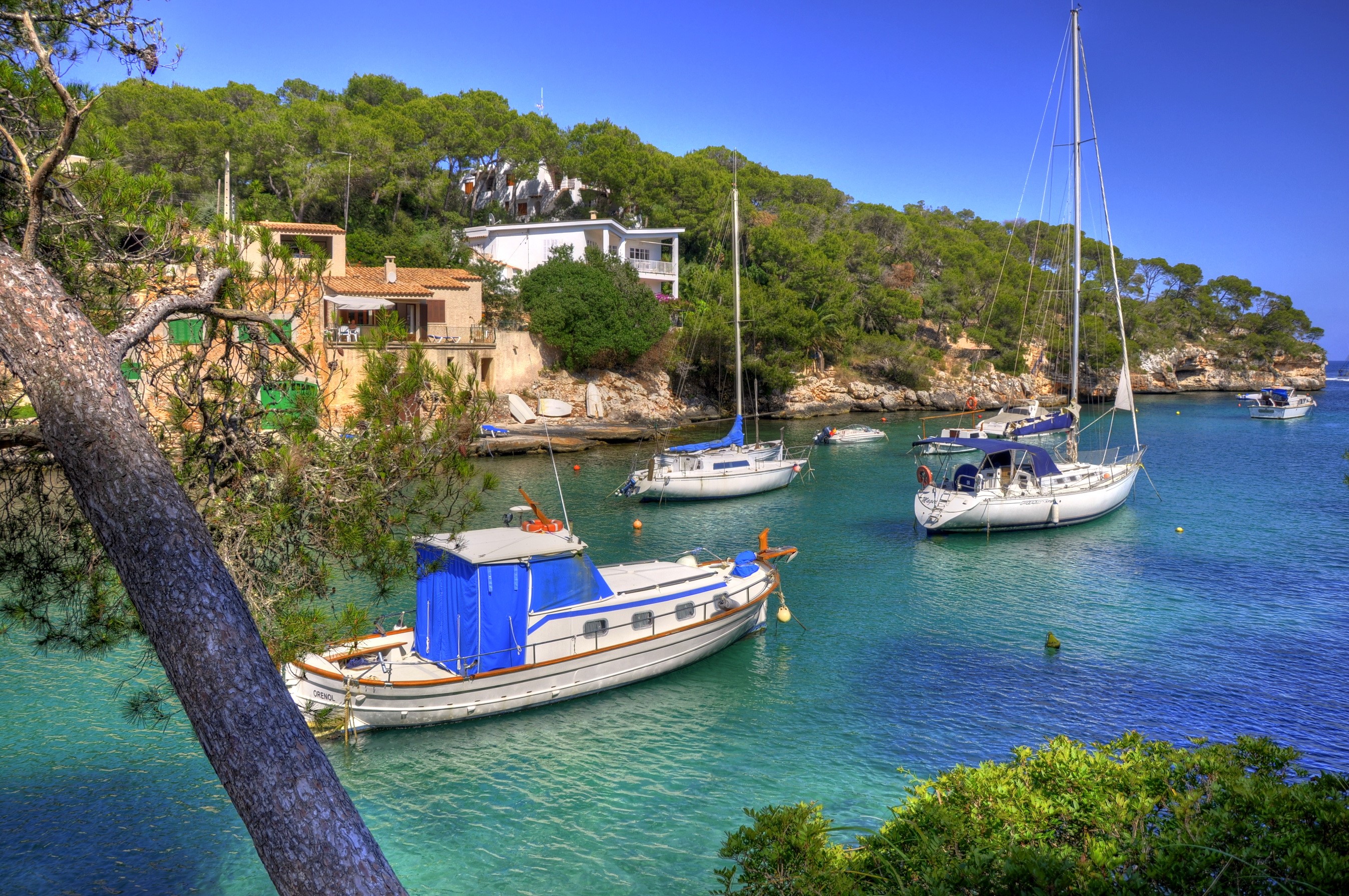 Boats docked in a bay with houses and trees HD Wallpaper