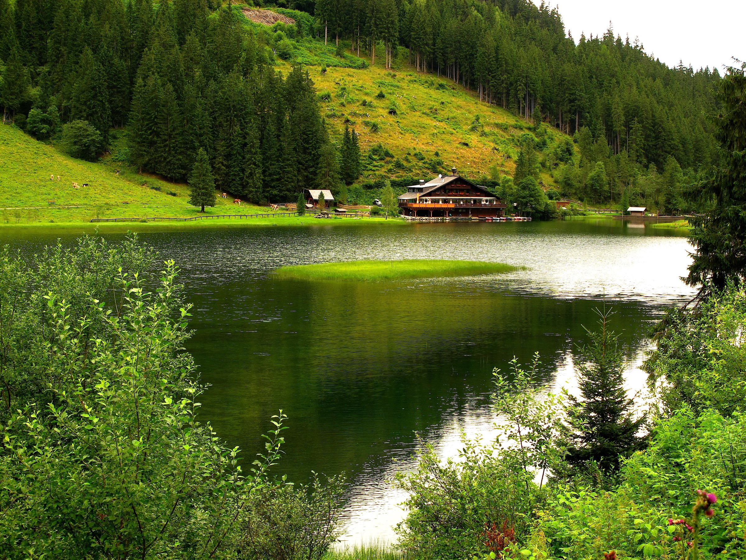 Lake with a lodge and forested mountain HD Wallpaper