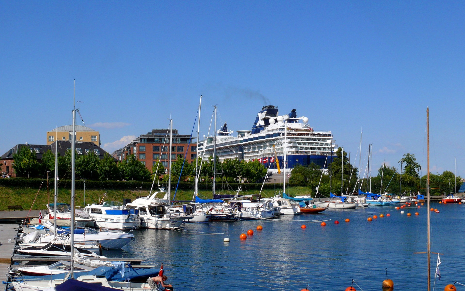 Cruise ship and yachts in a harbor HD Wallpaper