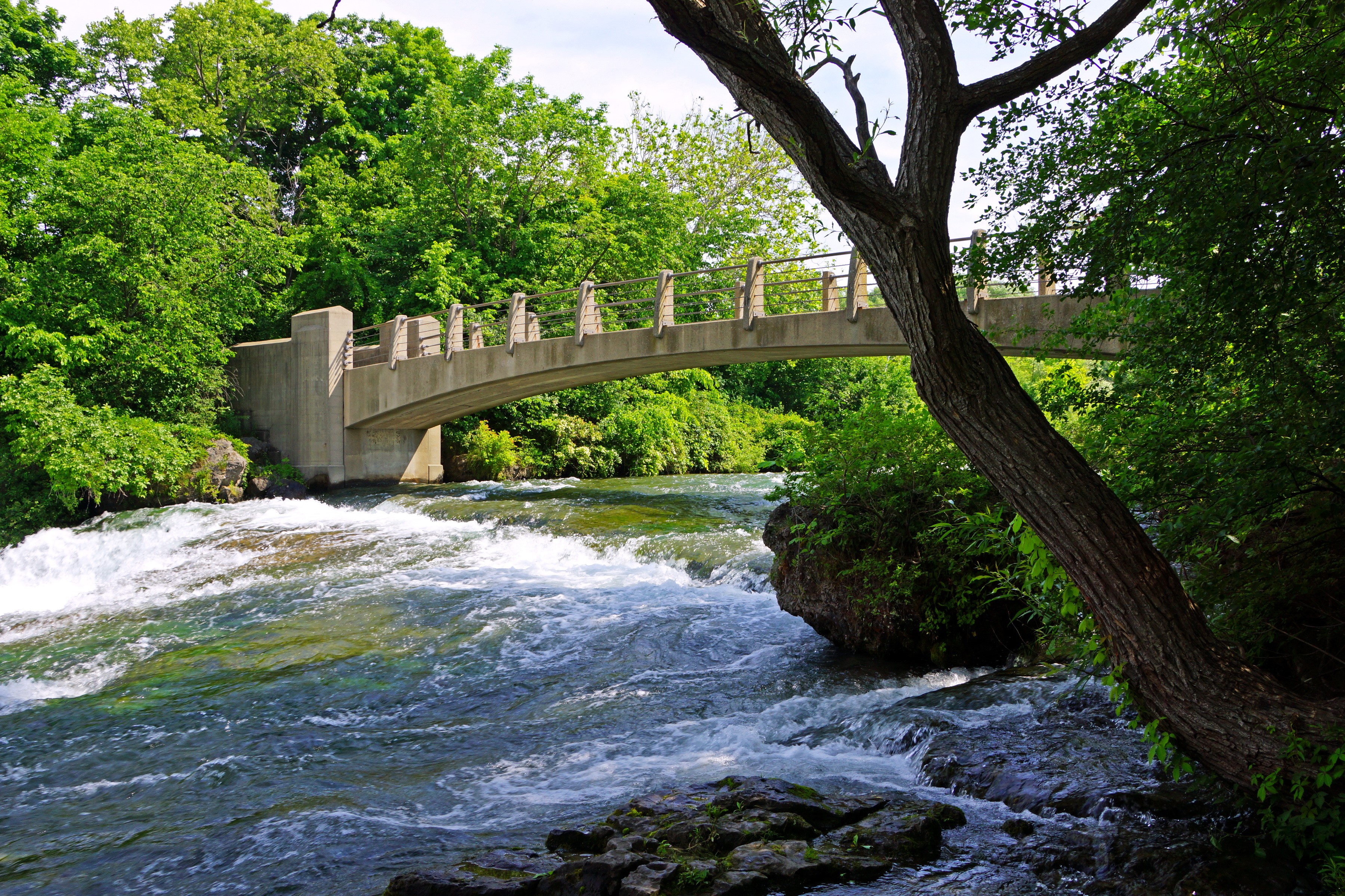 Bridge over a flowing river surrounded by trees HD Wallpaper