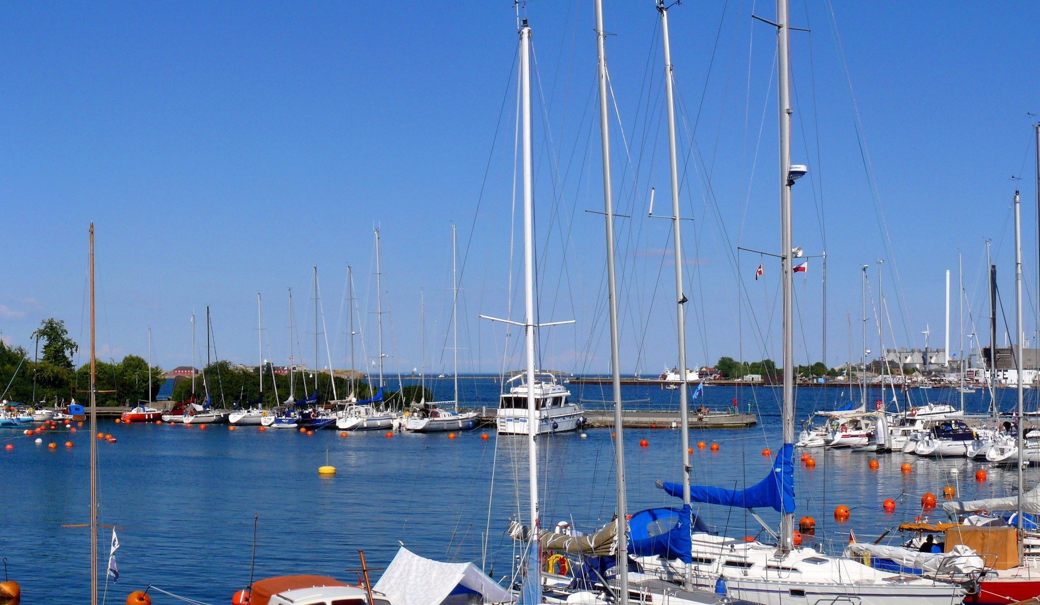 Sailboats and yachts docked in a harbor under a clear blue sky HD Wallpaper