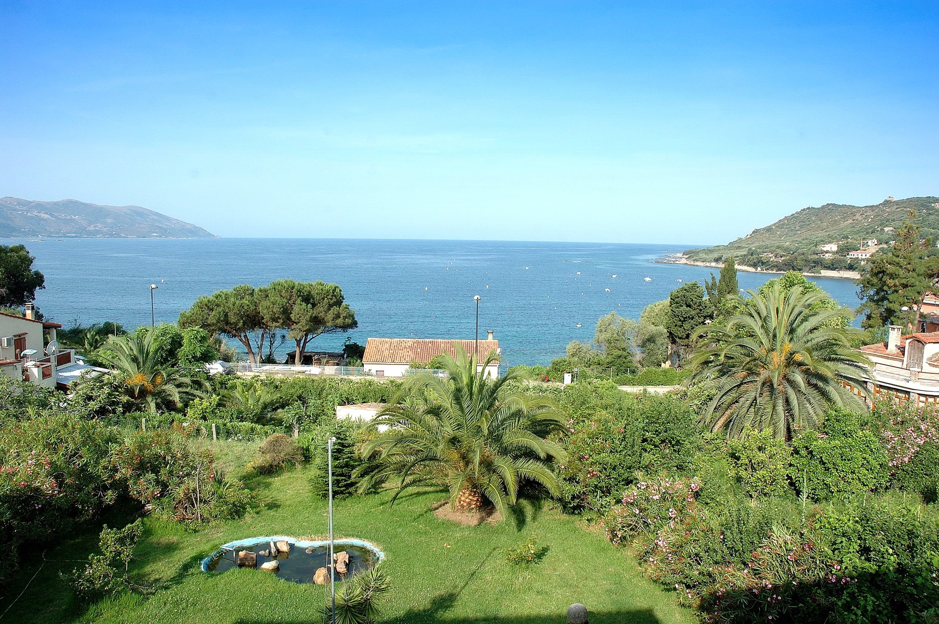 Coastal view with palm trees and houses HD Wallpaper