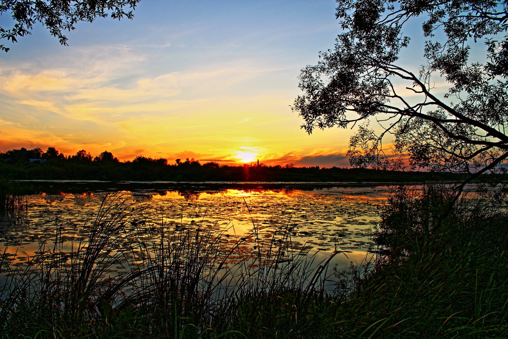 Sunset over a lake with lily pads and trees HD Wallpaper
