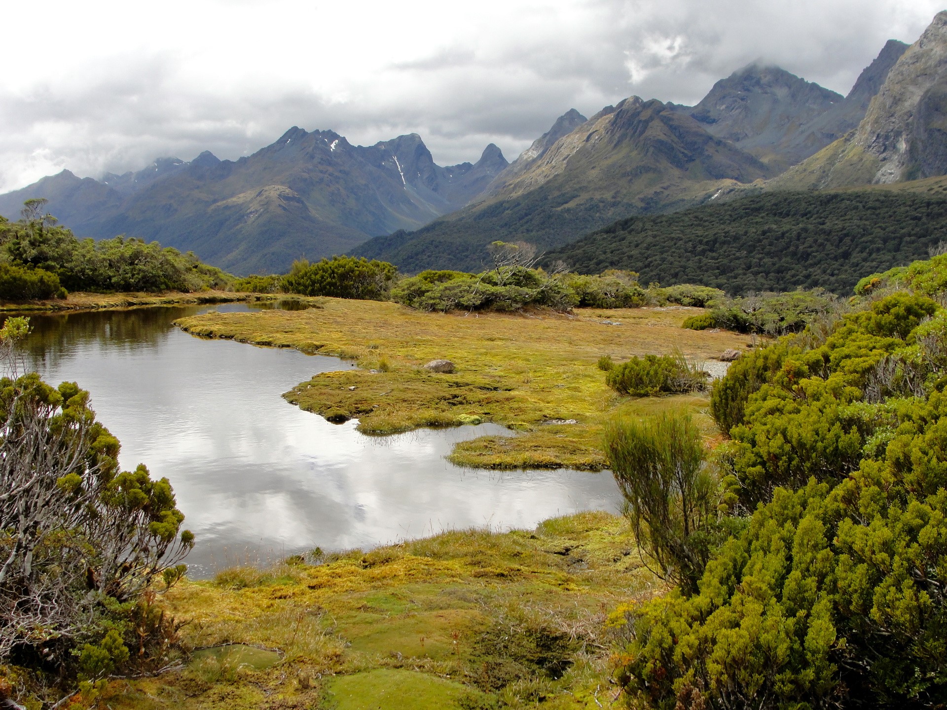 Mountain lake with alpine vegetation and peaks HD Wallpaper