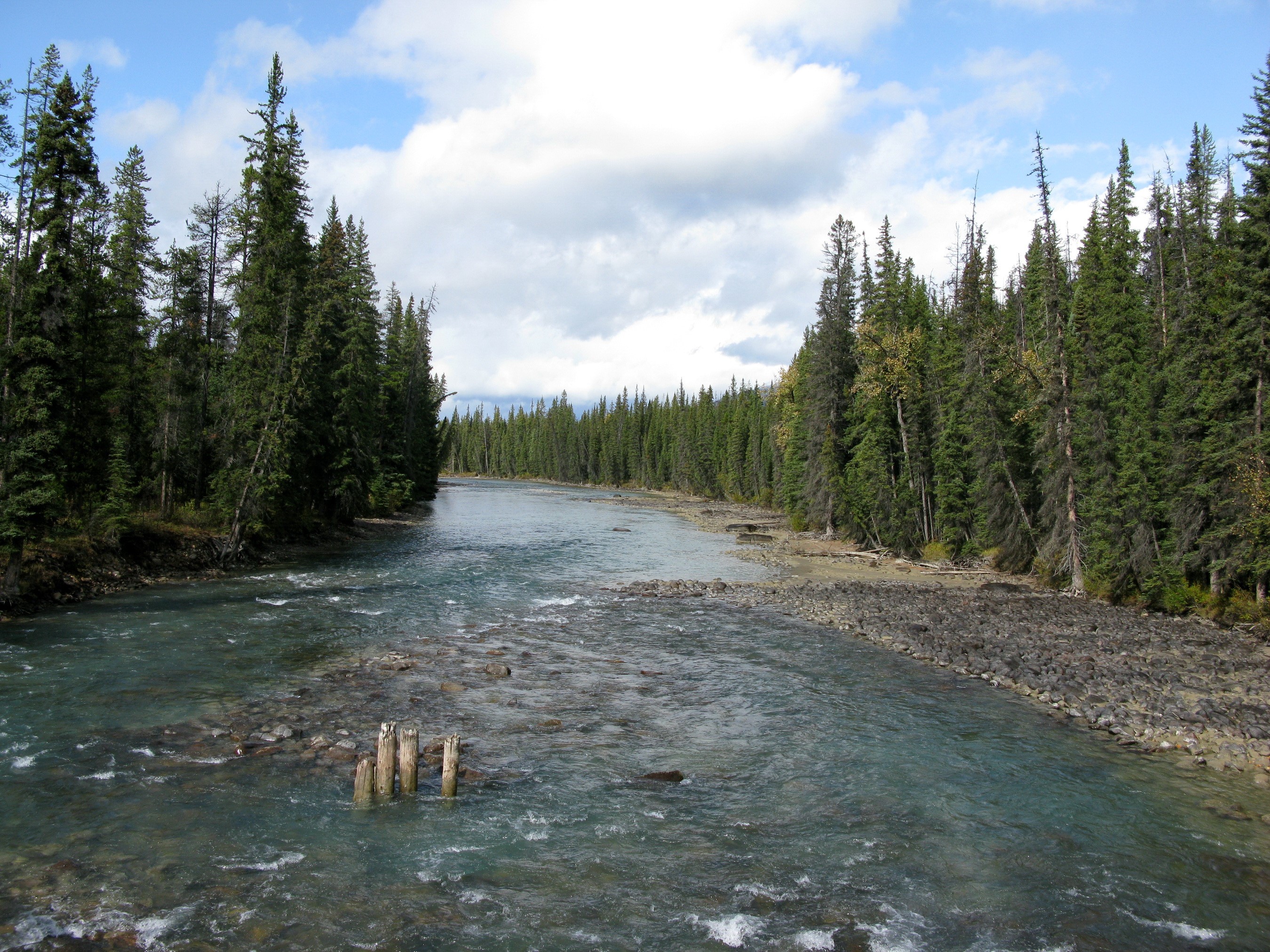 Whirlpool River in Jasper Park, Canada HD Wallpaper