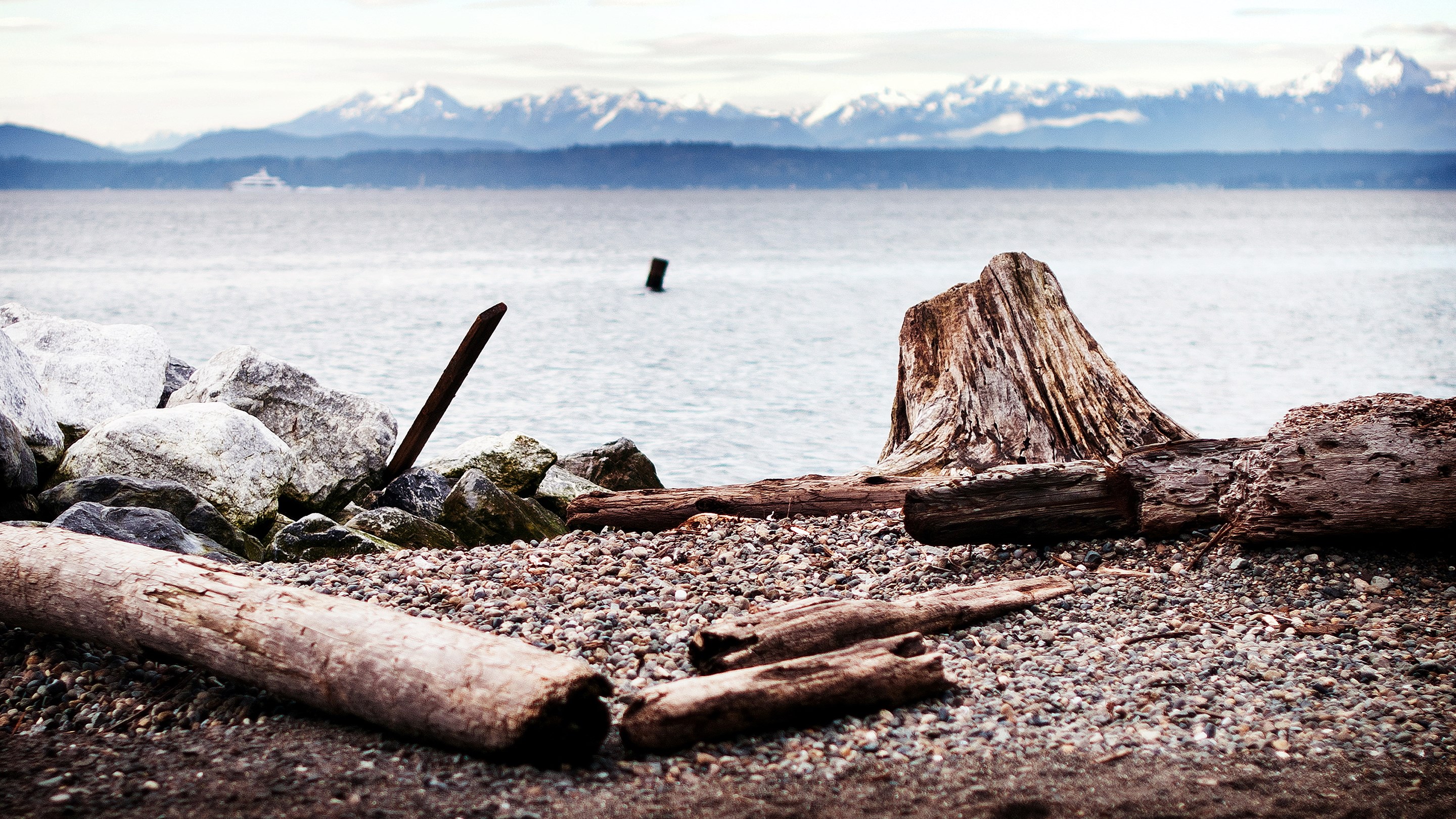 Driftwood and rocks on a beach with mountains in the distance HD Wallpaper