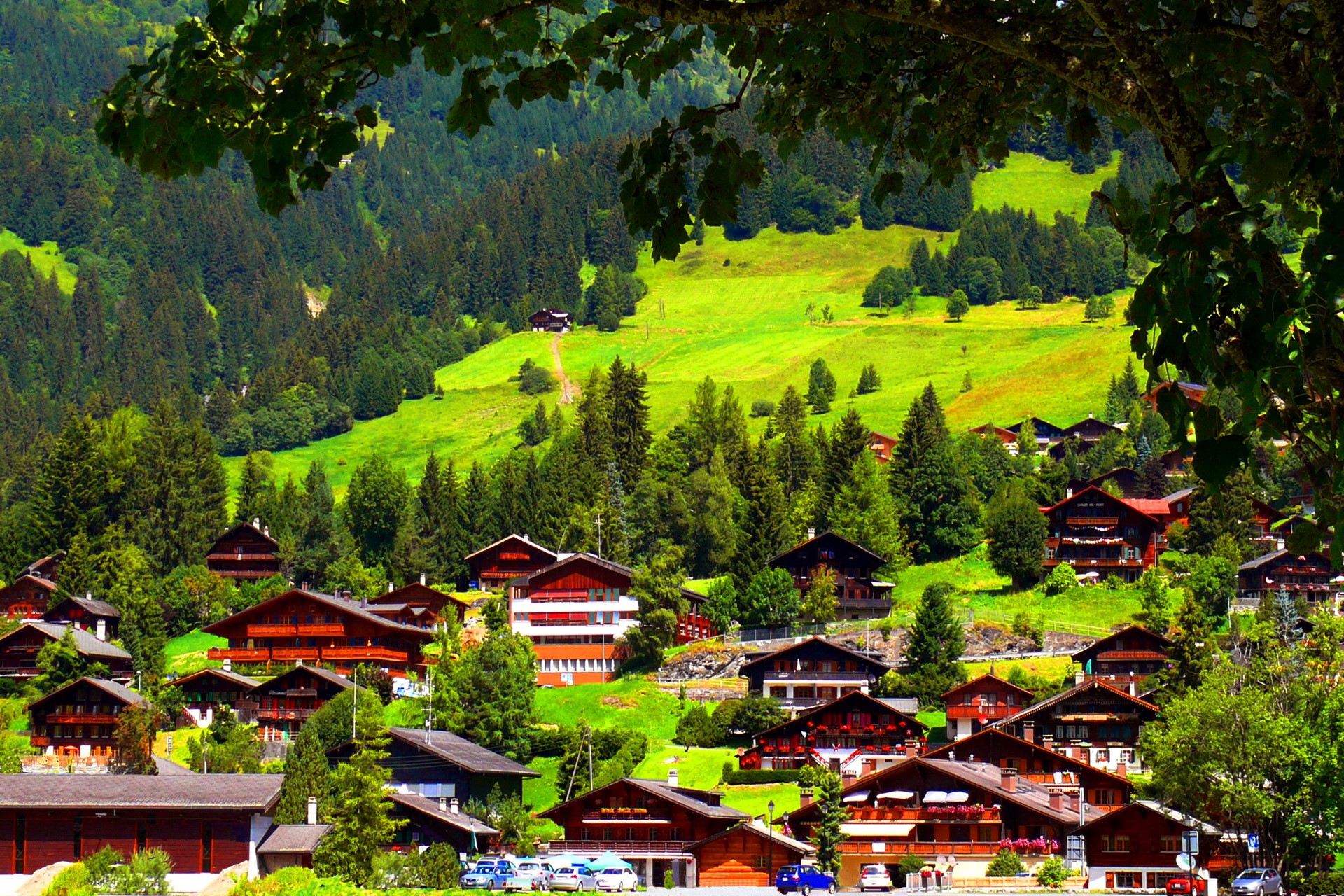 Swiss village nestled in a green mountain valley HD Wallpaper