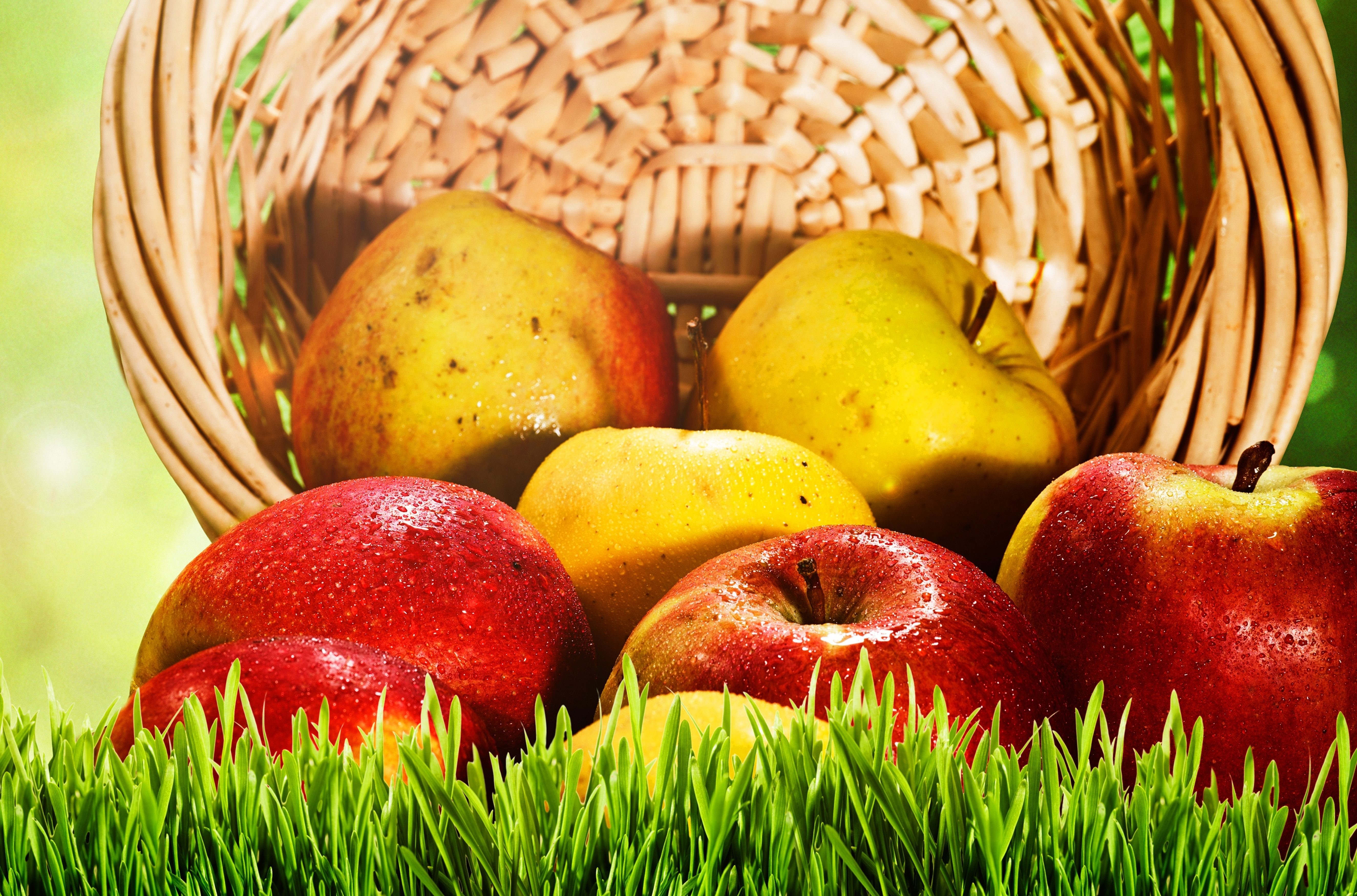 Apples in a basket on grass HD Wallpaper