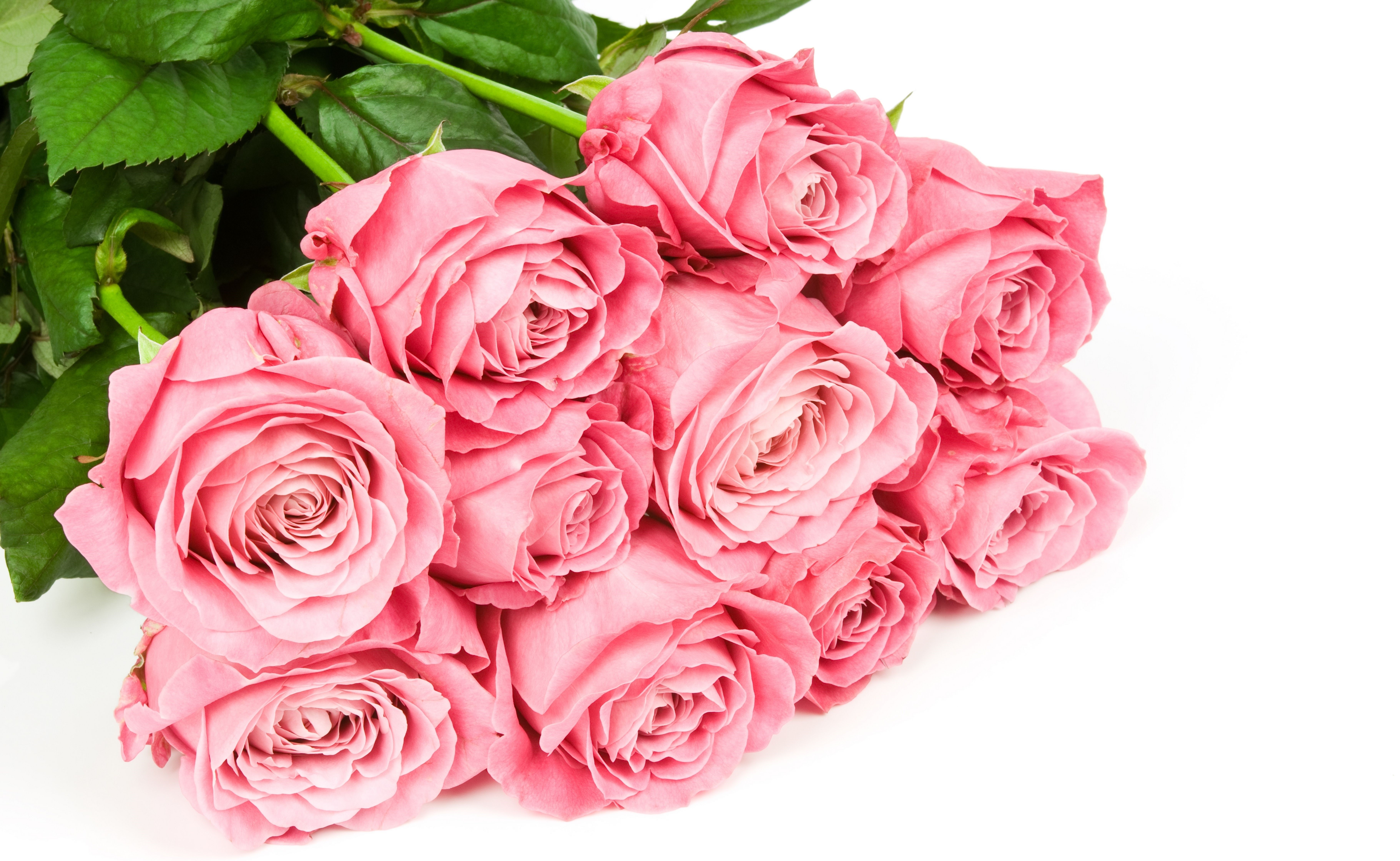 Pink Roses Bouquet HD Wallpaper