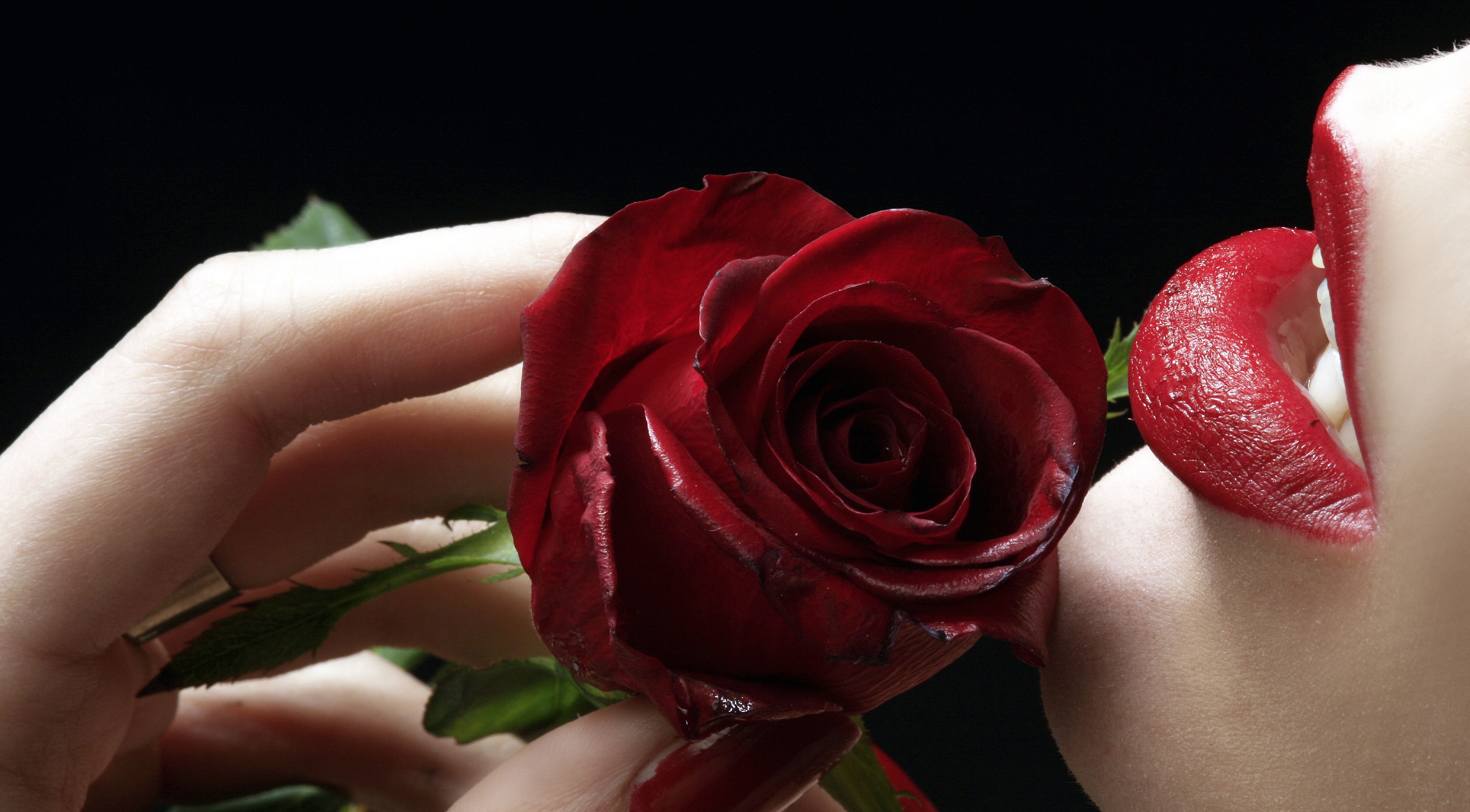Woman with red lipstick and a red rose HD Wallpaper