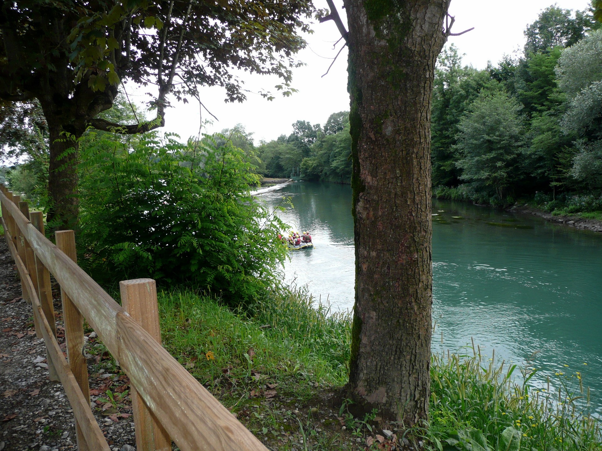 People in a boat on a river with trees HD Wallpaper