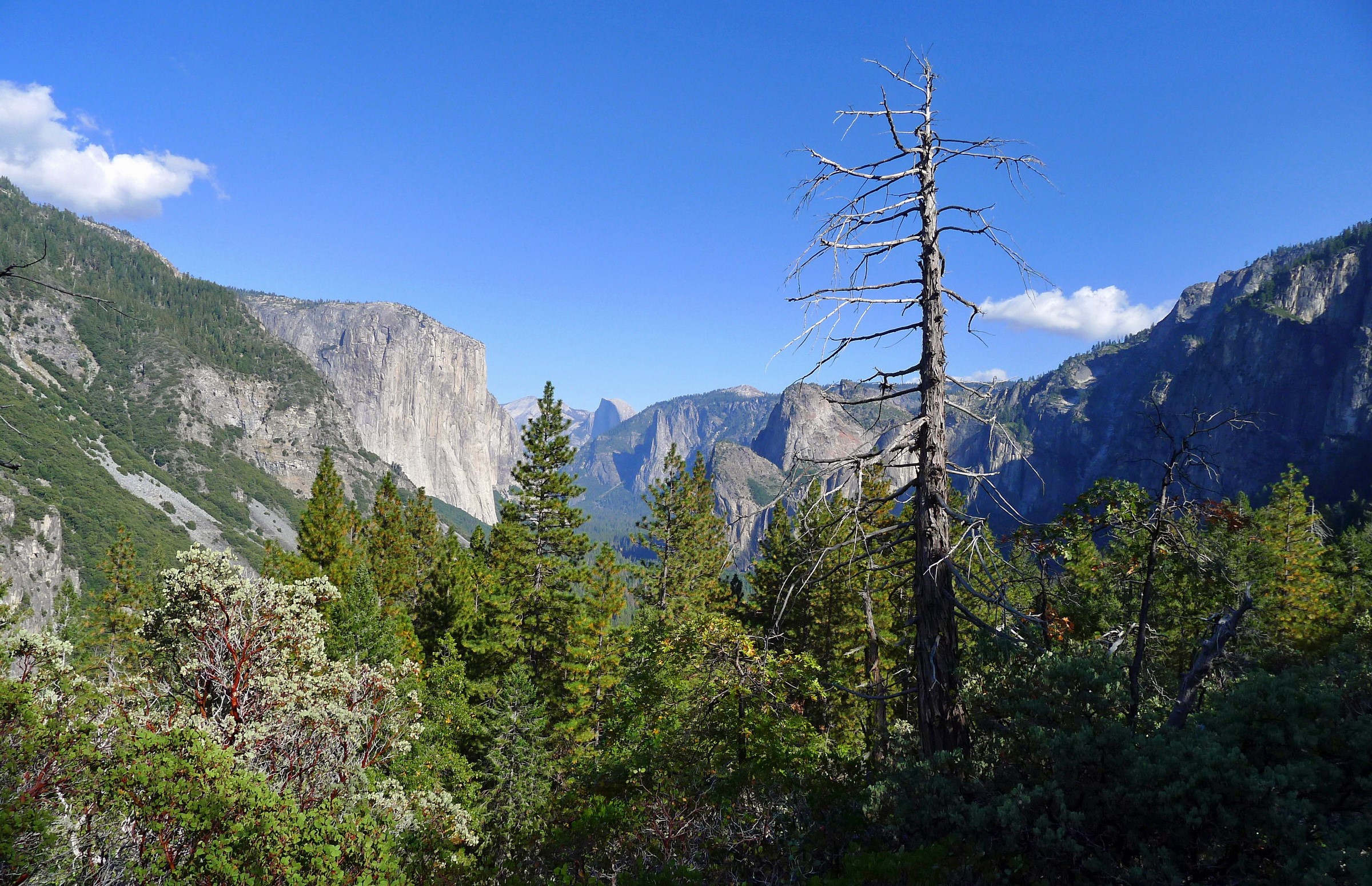 Yosemite National Park, California, USA HD Wallpaper