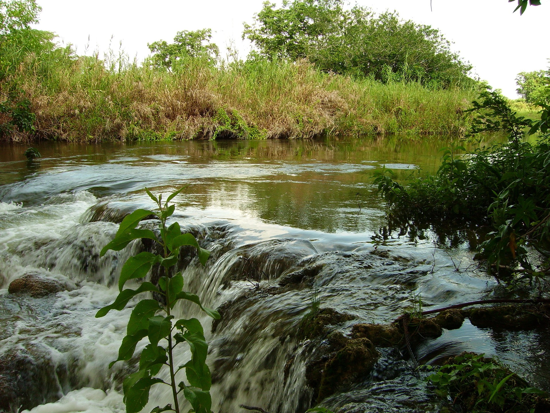 Small waterfall in a river with green foliage HD Wallpaper