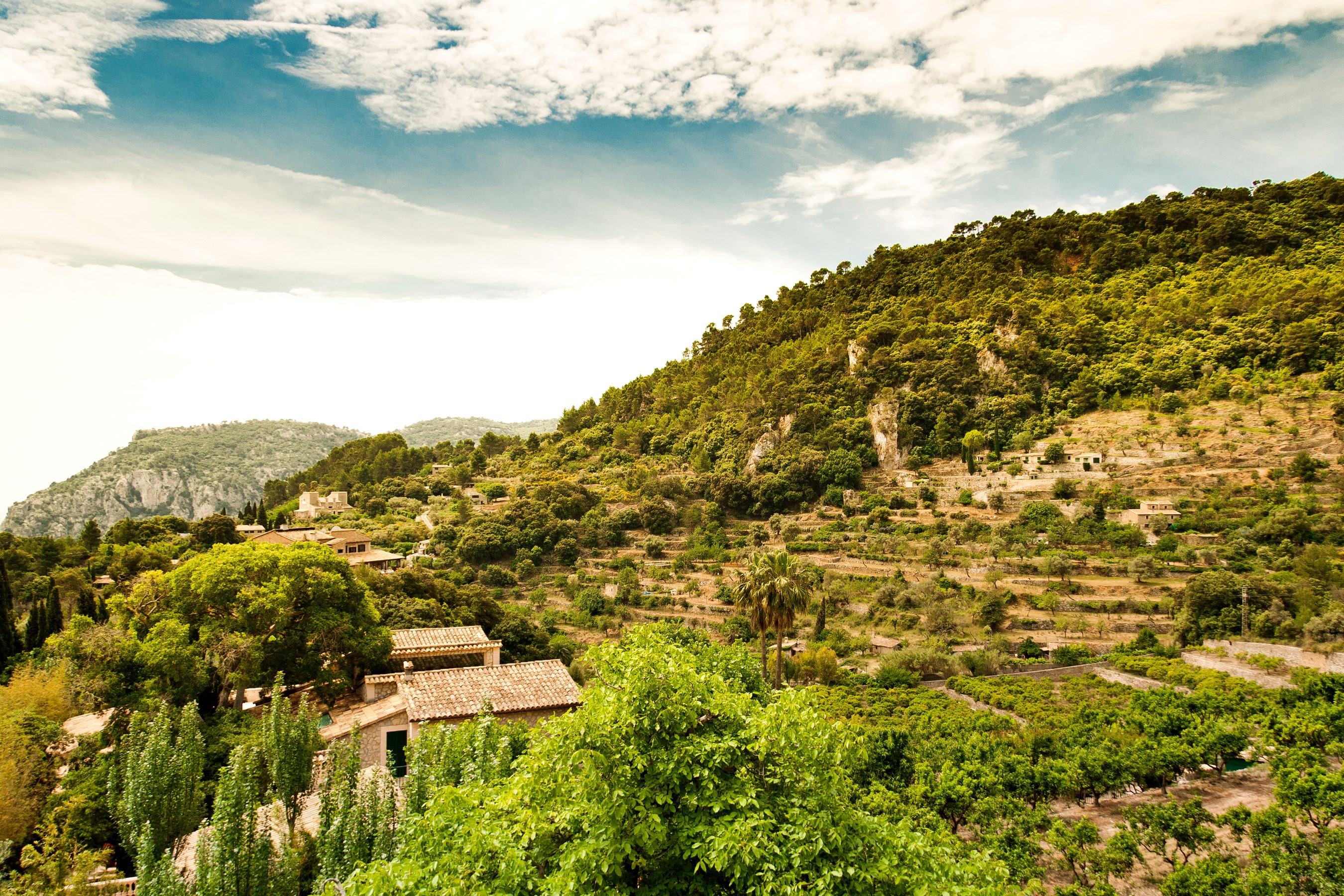 Terraced hillside with houses and trees in Majorca, Spain HD Wallpaper