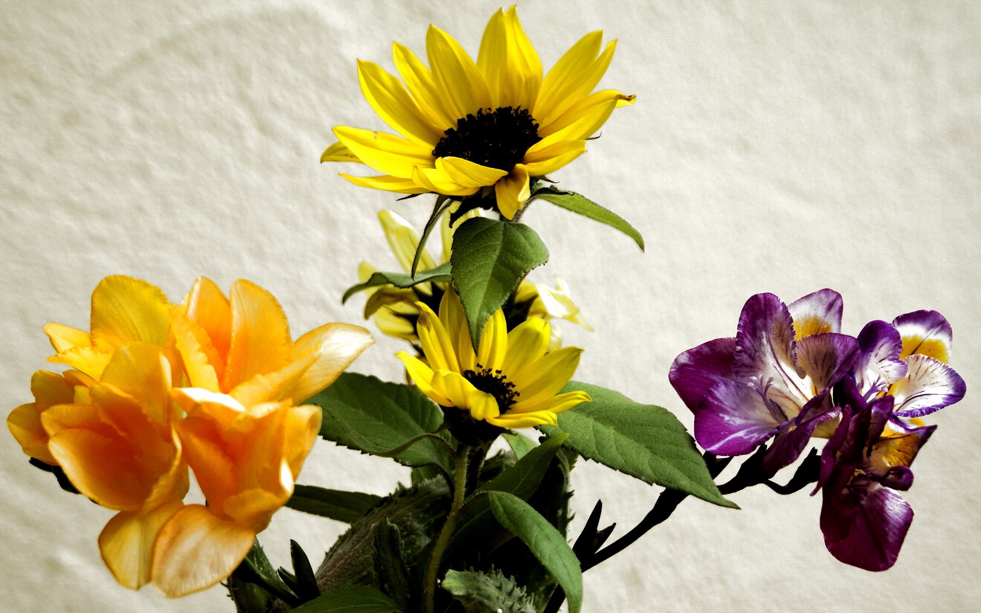 Bouquet of sunflowers, freesia, and purple flowers HD Wallpaper
