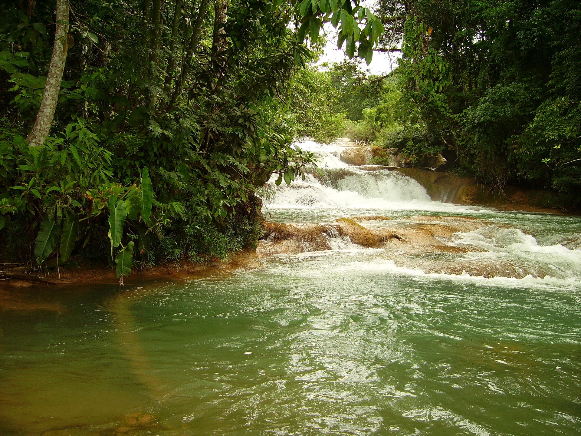Waterfalls in a lush green jungle HD Wallpaper