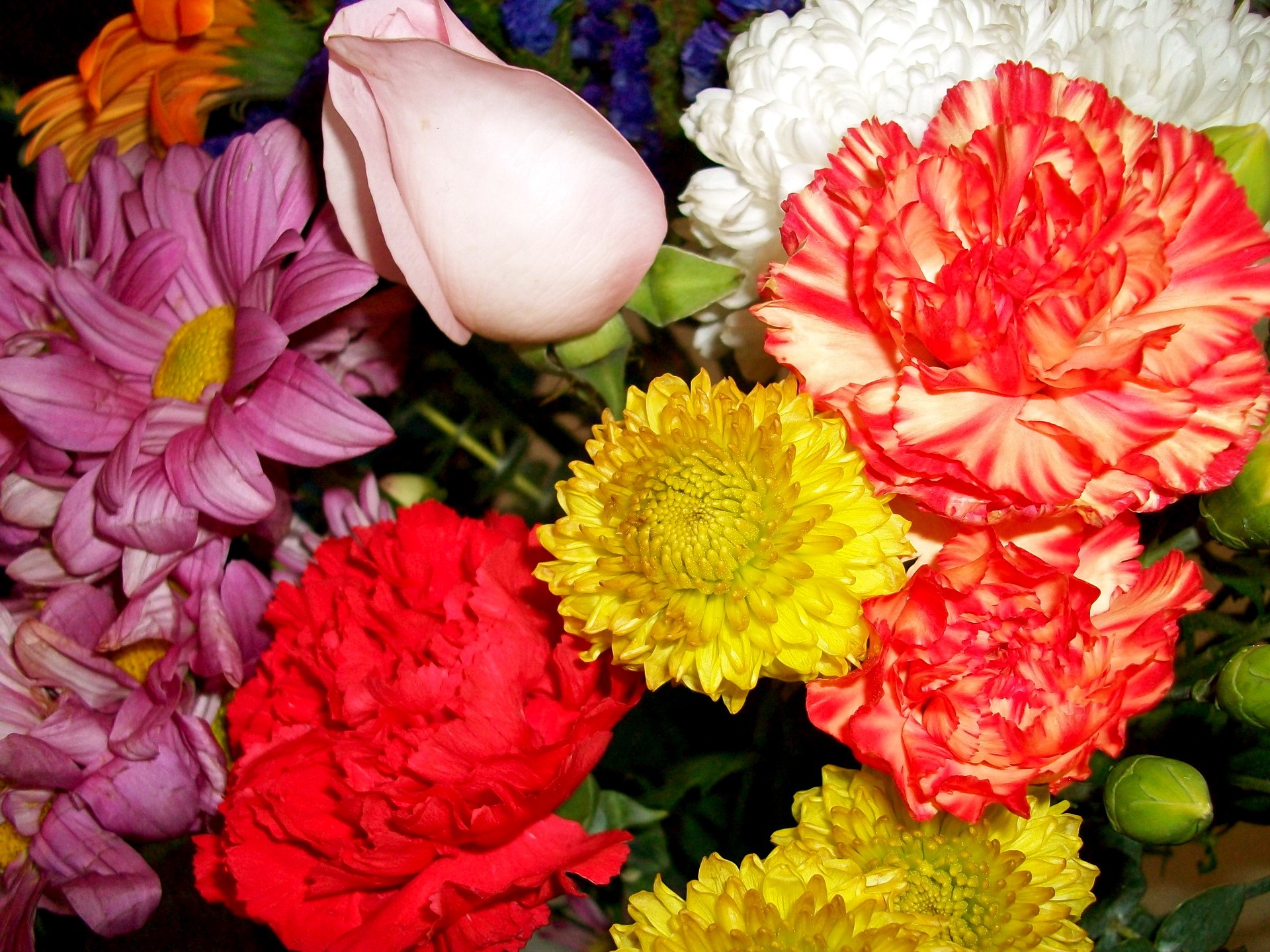 A colorful bouquet of assorted flowers HD Wallpaper