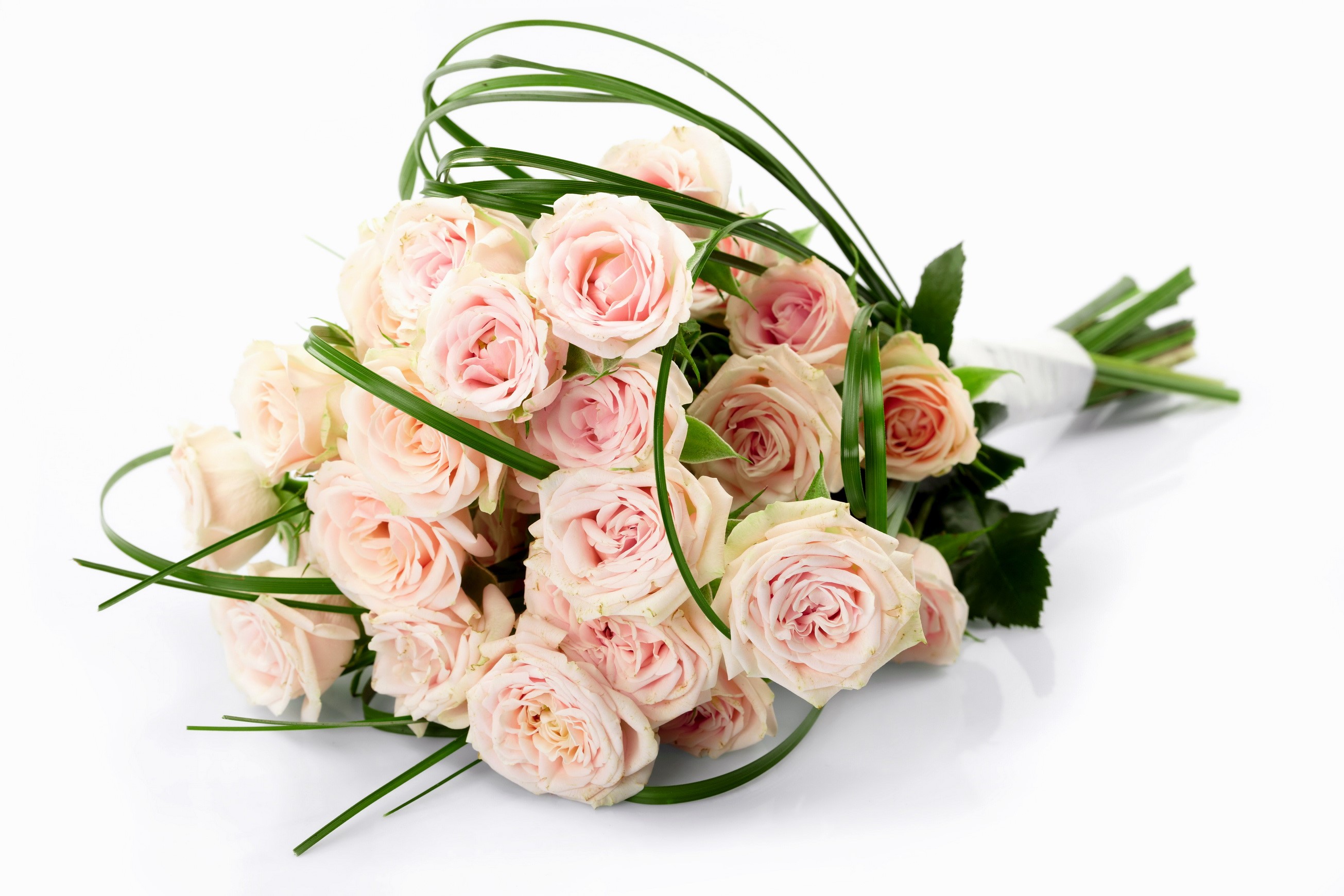 Bouquet of pink roses with green accents HD Wallpaper