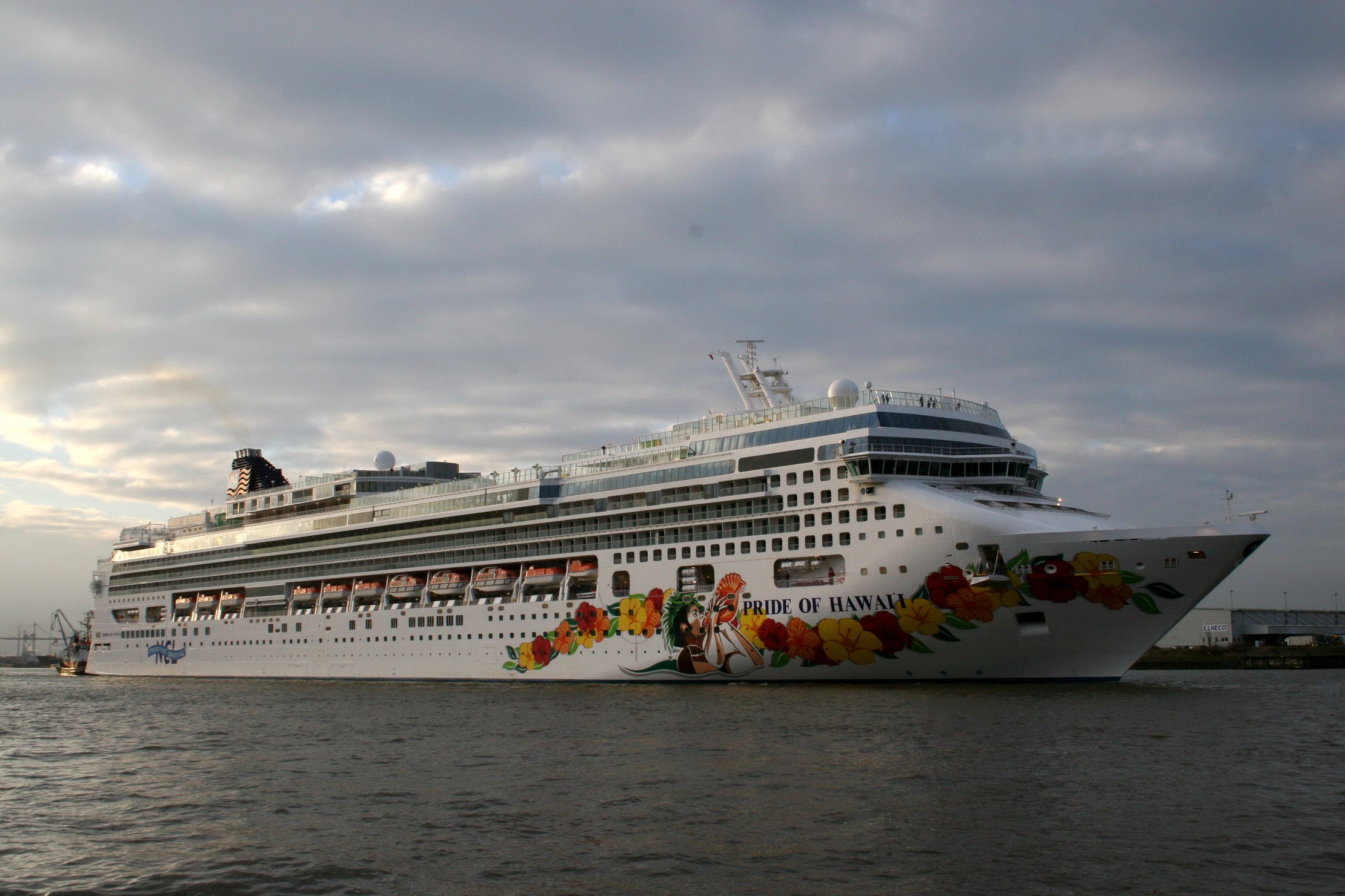 Pride of Hawaii cruise liner sailing on water HD Wallpaper