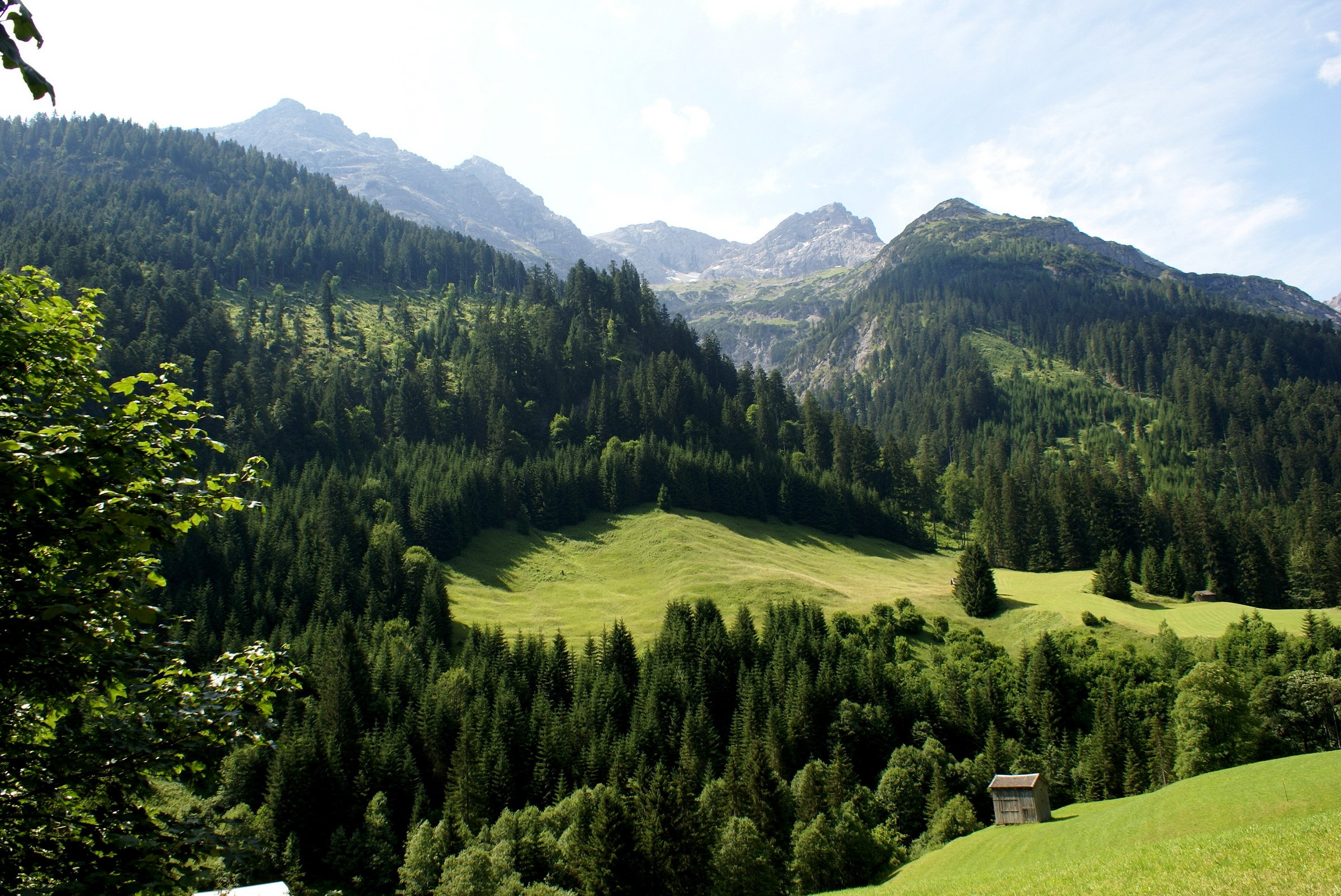 Mountains and forest landscape with a small cabin HD Wallpaper