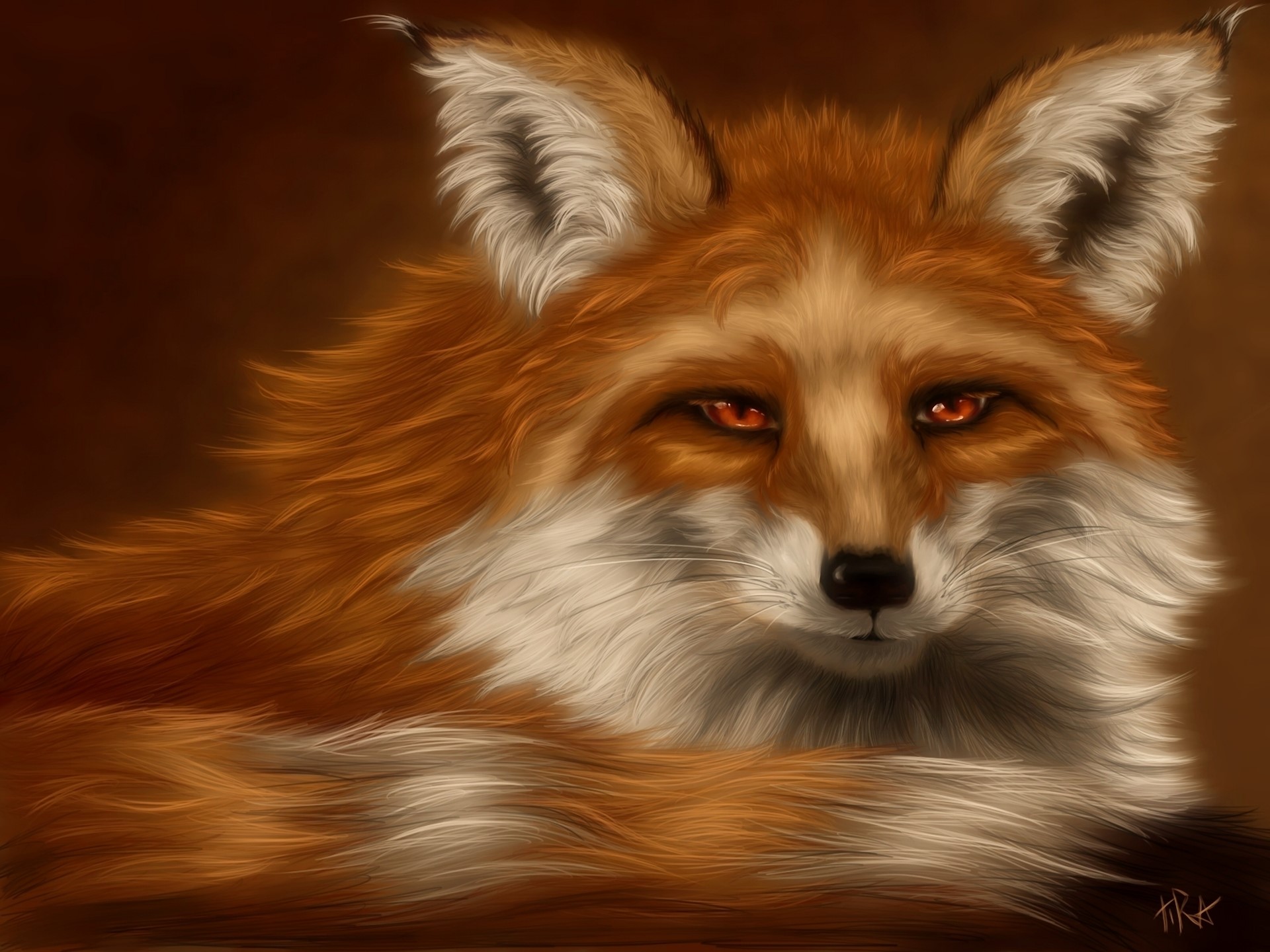 Close-up portrait of a red fox HD Wallpaper