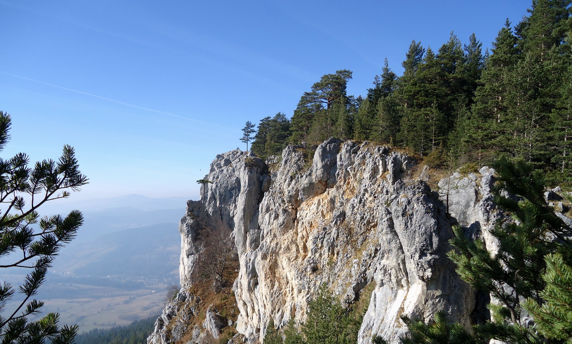 Rocky cliffs with pine trees and distant mountains HD Wallpaper