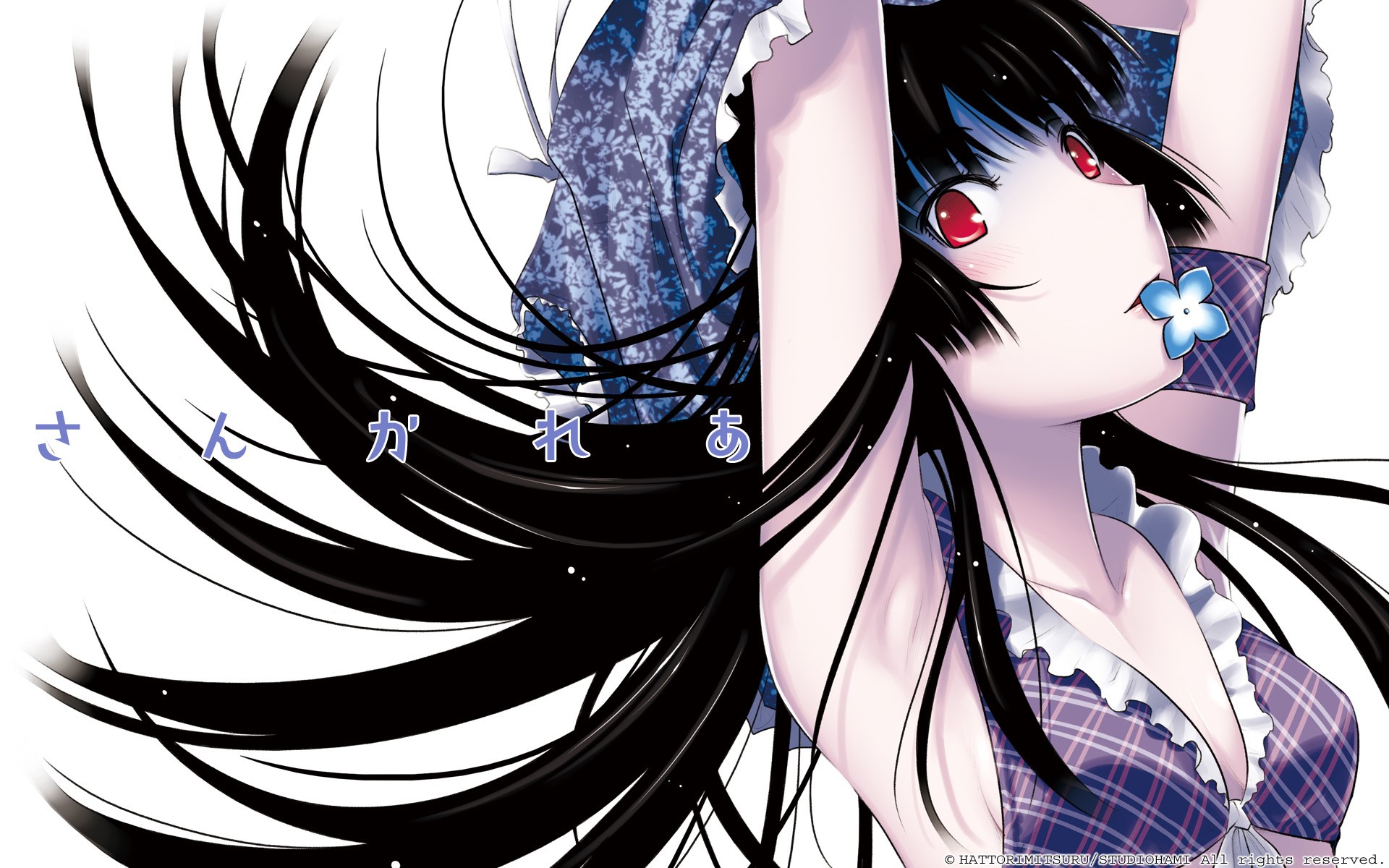 Chihiro Furuya and Rea Sanka from Sankarea HD Wallpaper