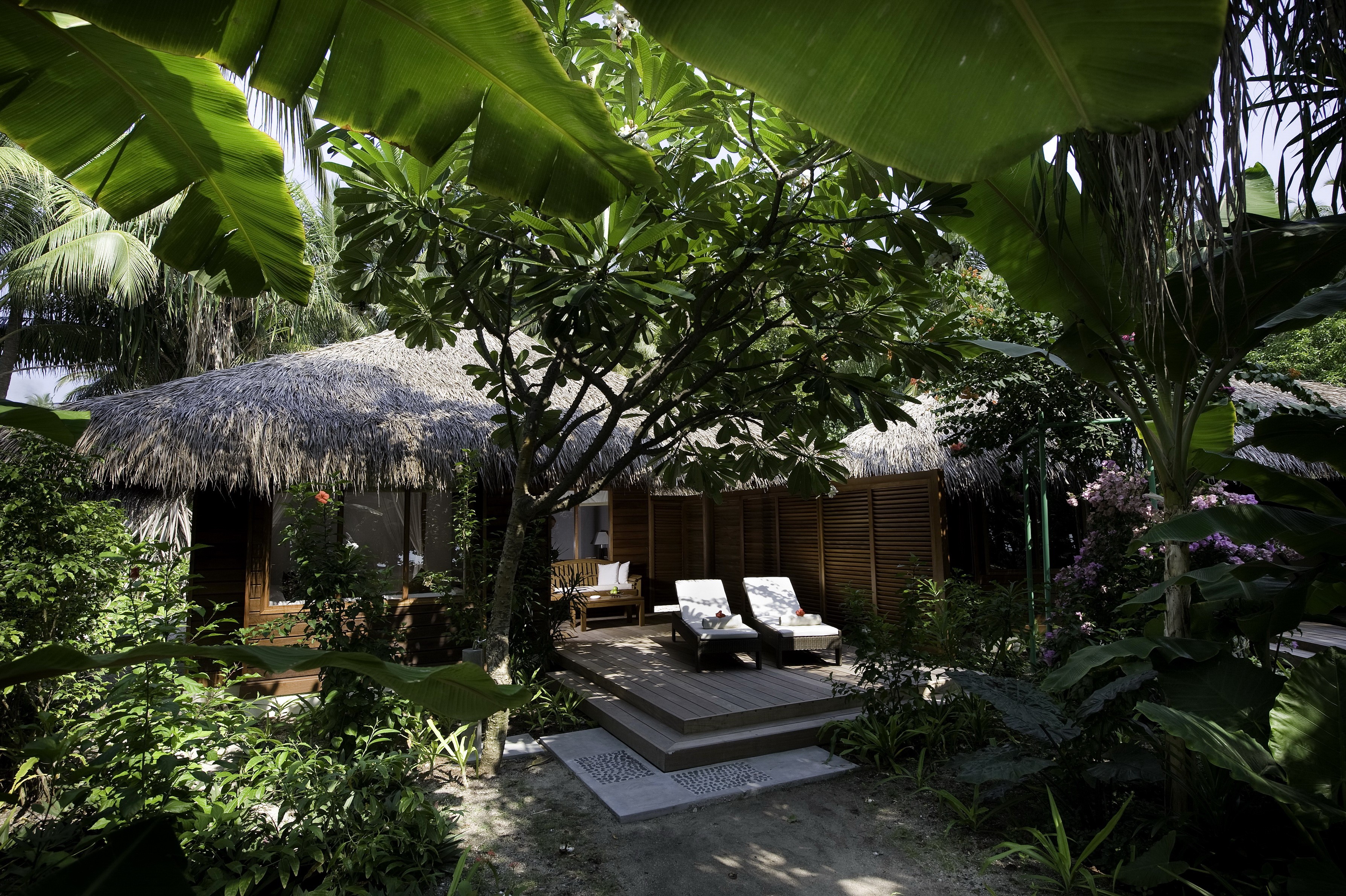 Thatched roof bungalows in a tropical garden HD Wallpaper