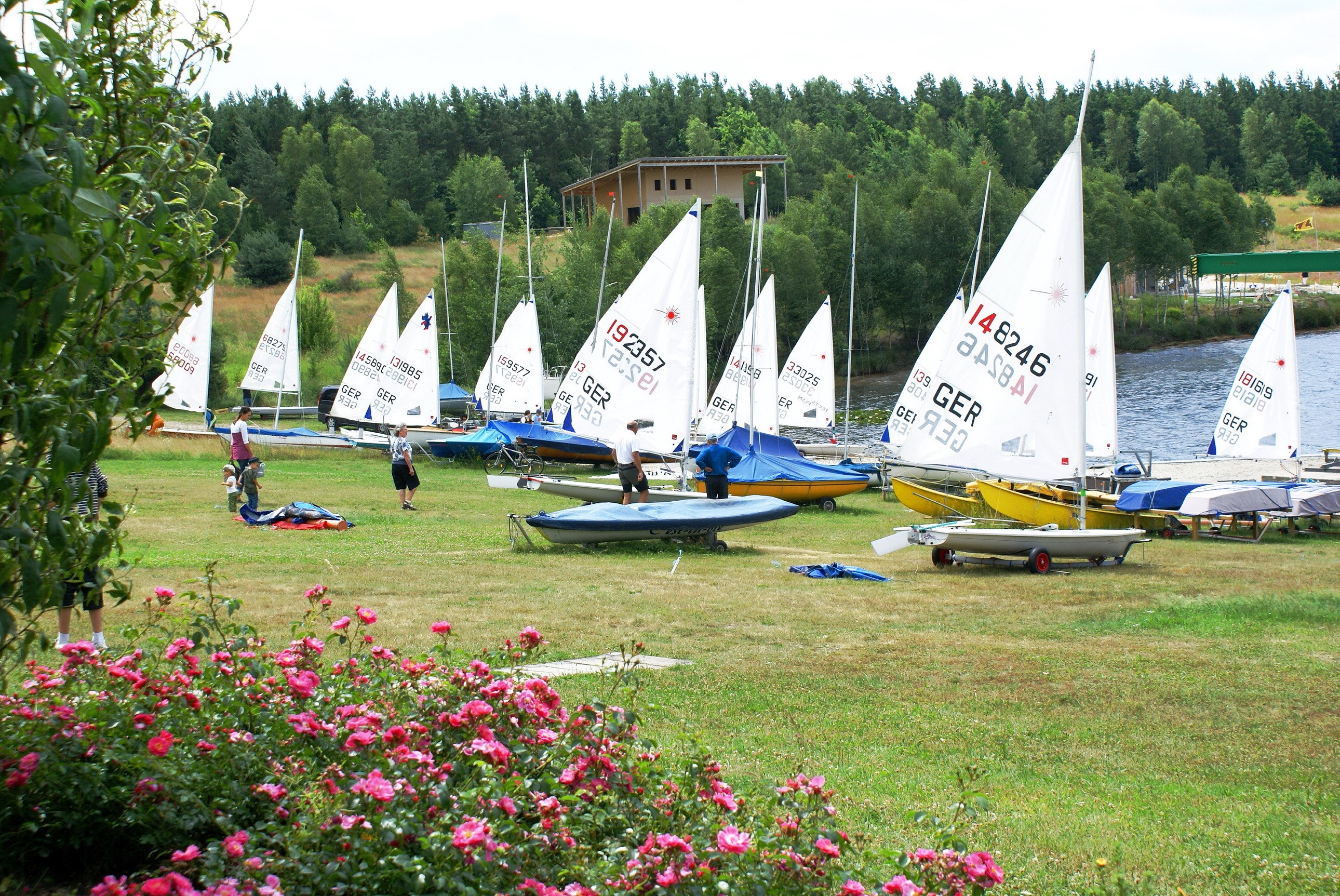 Sailboats gathered on a grassy shore HD Wallpaper