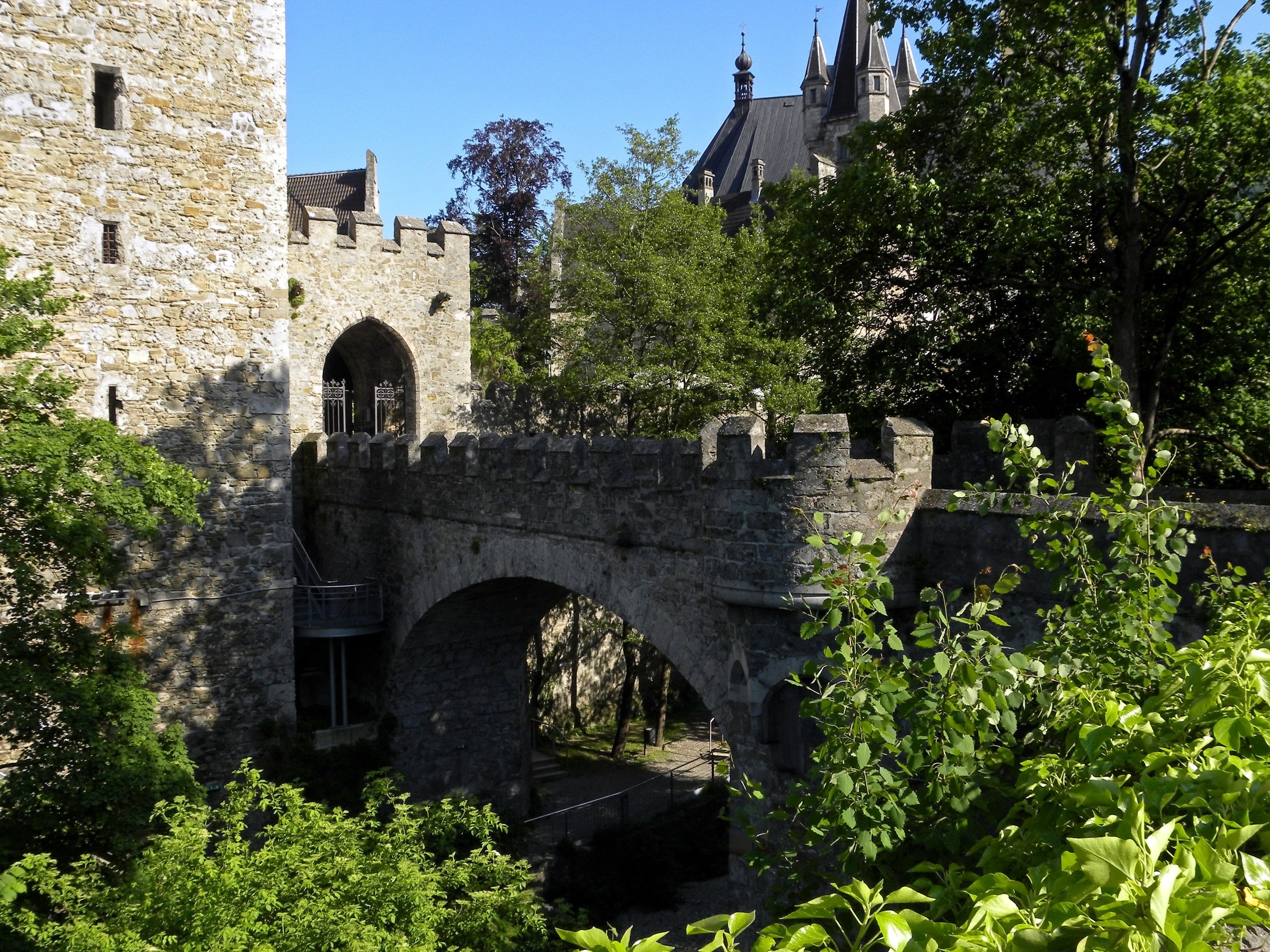 Castle bridge and towers with trees HD Wallpaper