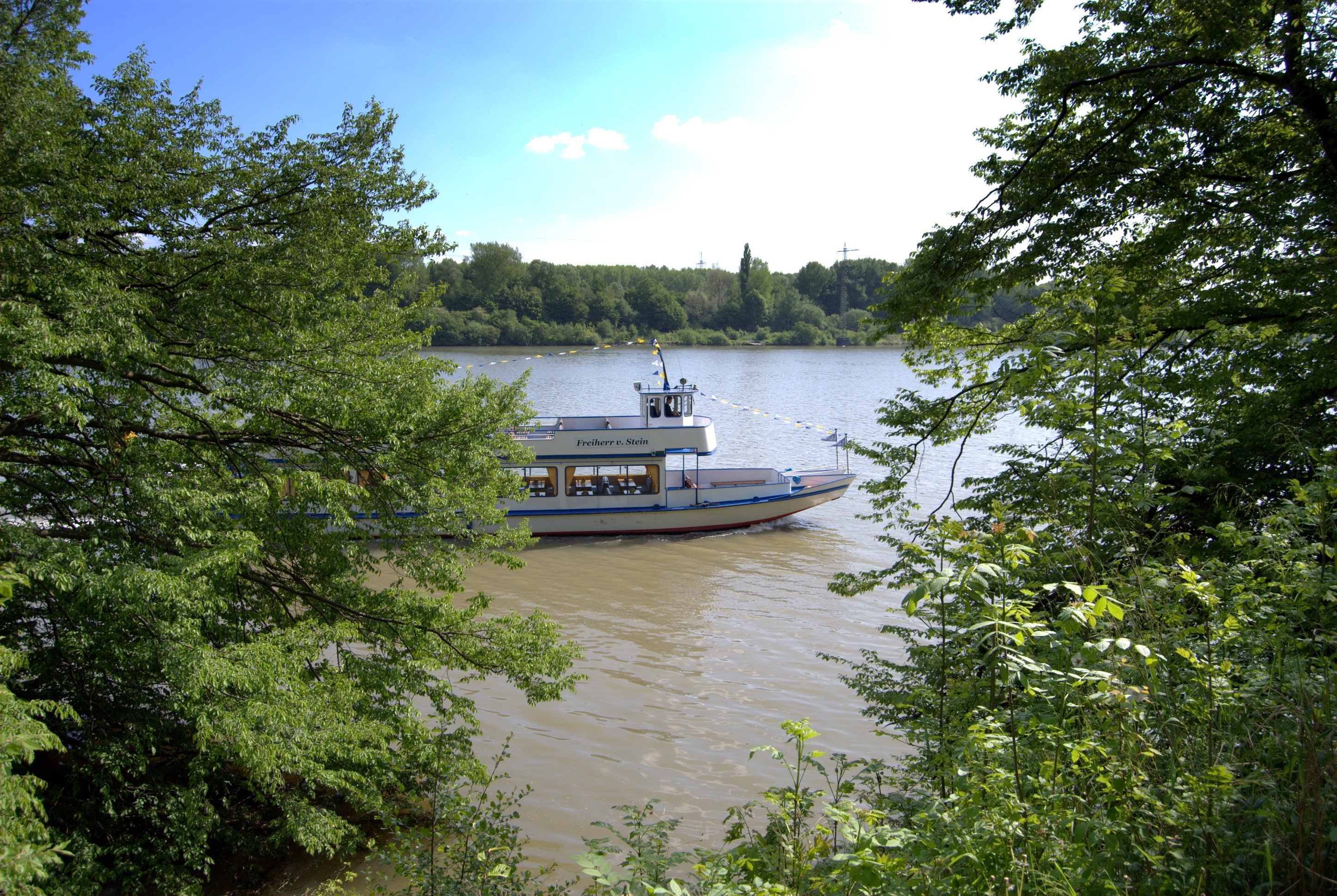 Passenger boat on a wide river surrounded by trees HD Wallpaper