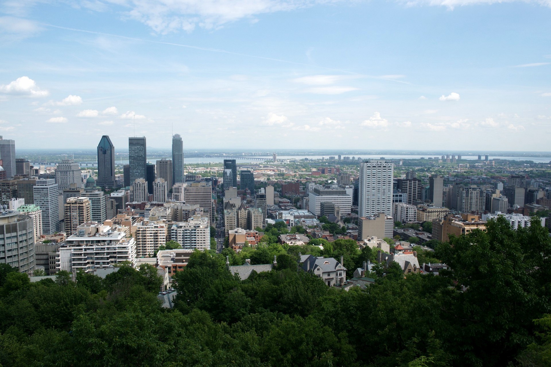 Montreal Skyline from Mount Royal Park, Canada HD Wallpaper