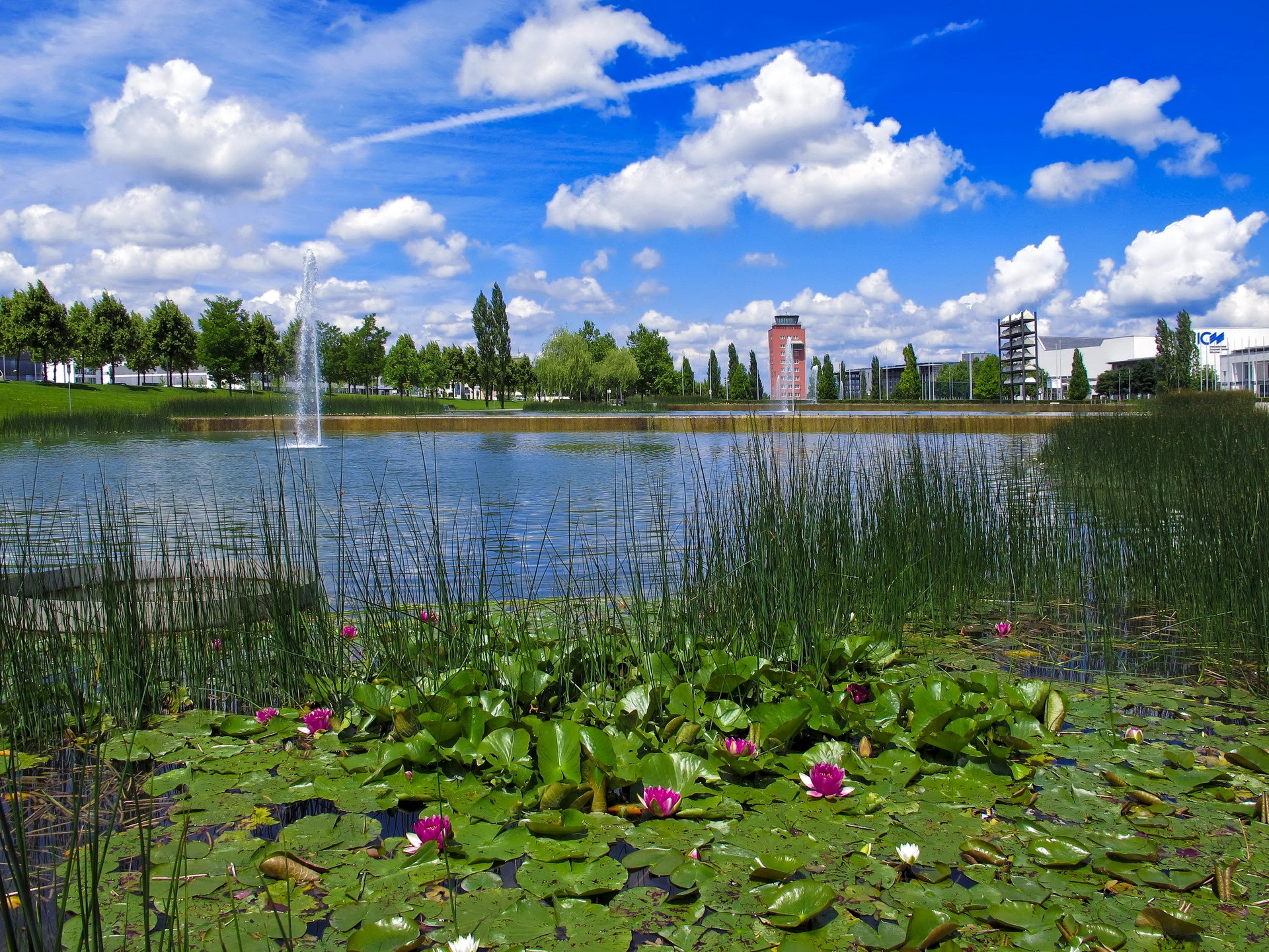 Pond with water lilies and fountains in Munich, Germany HD Wallpaper